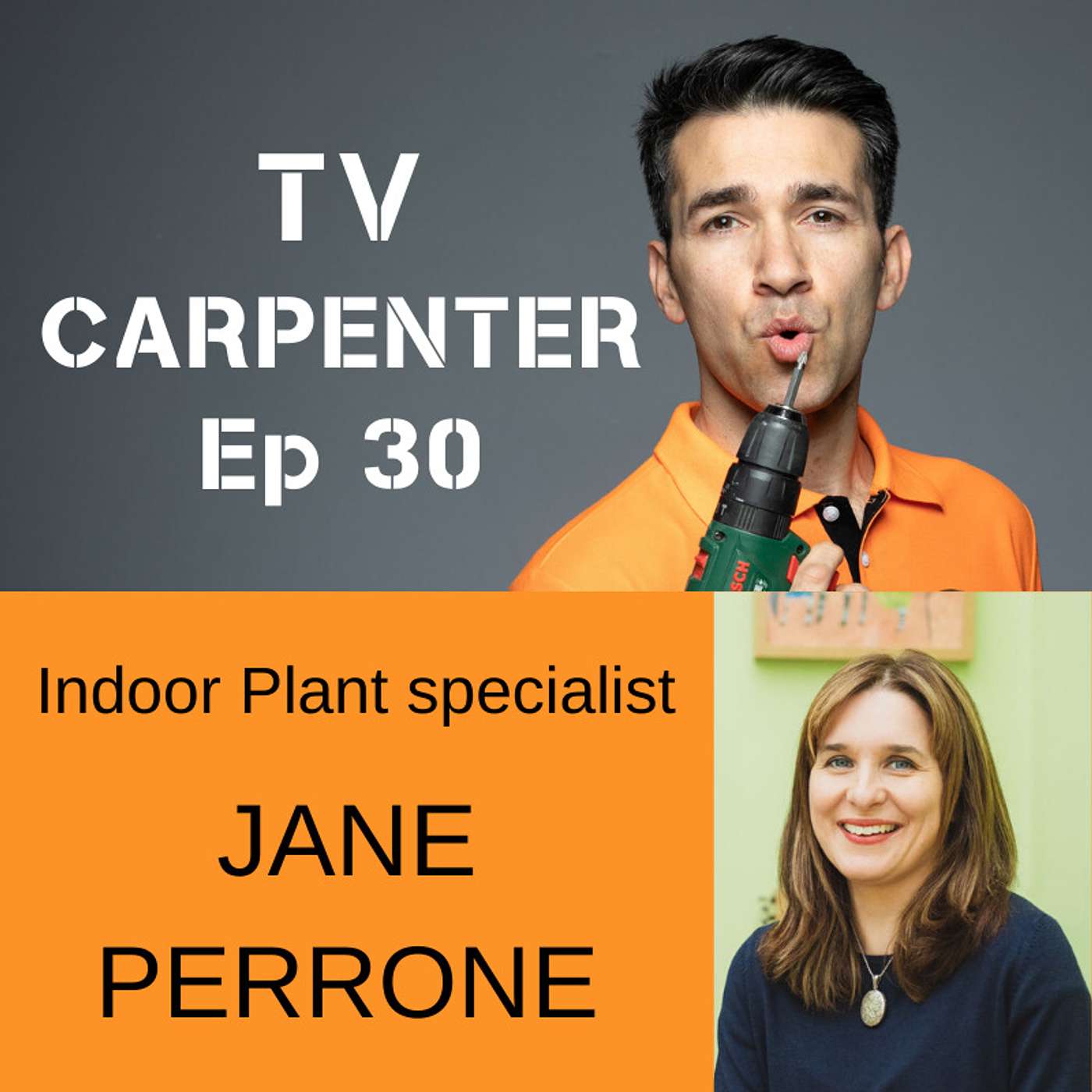 THE TV CARPENTER : Home Makeovers with Wayne Perrey