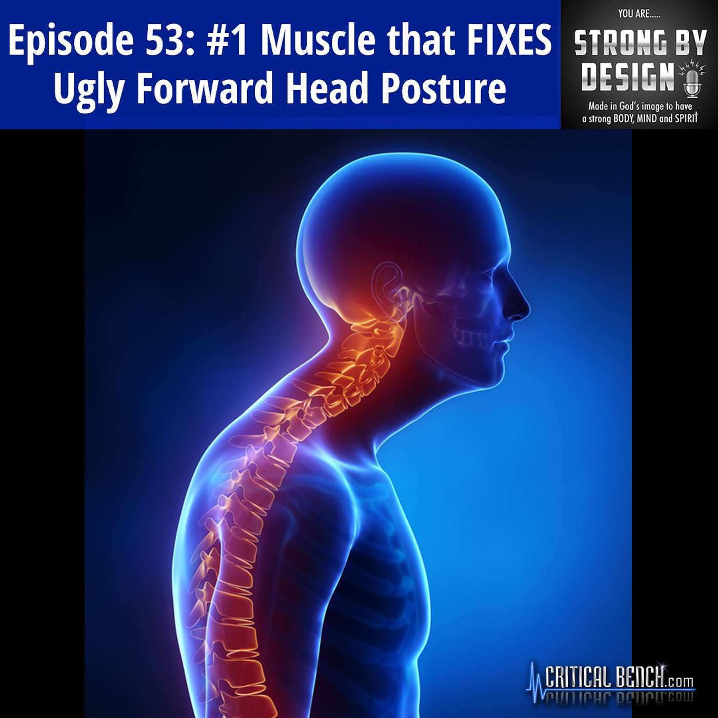 Ep 53 #1 Muscle that FIXES Ugly Forward Head Posture with Rick Kaselj from Exercises for Injuries