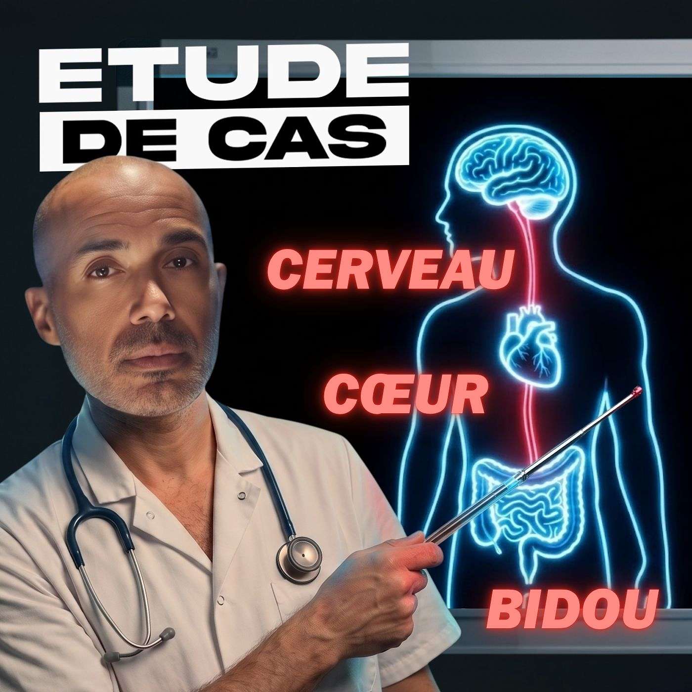 Il faut penser ses sentiments et vice et versa | Étude de cas episode artwork