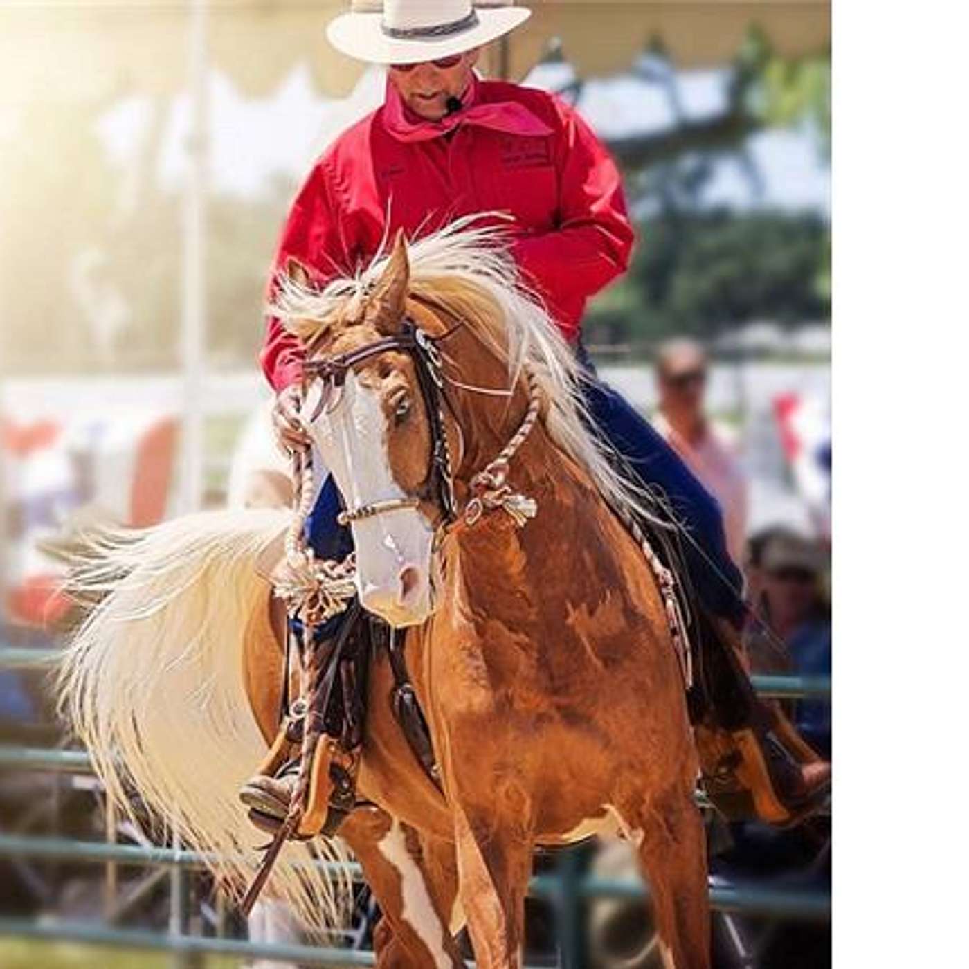 Cowboy Dressage with 