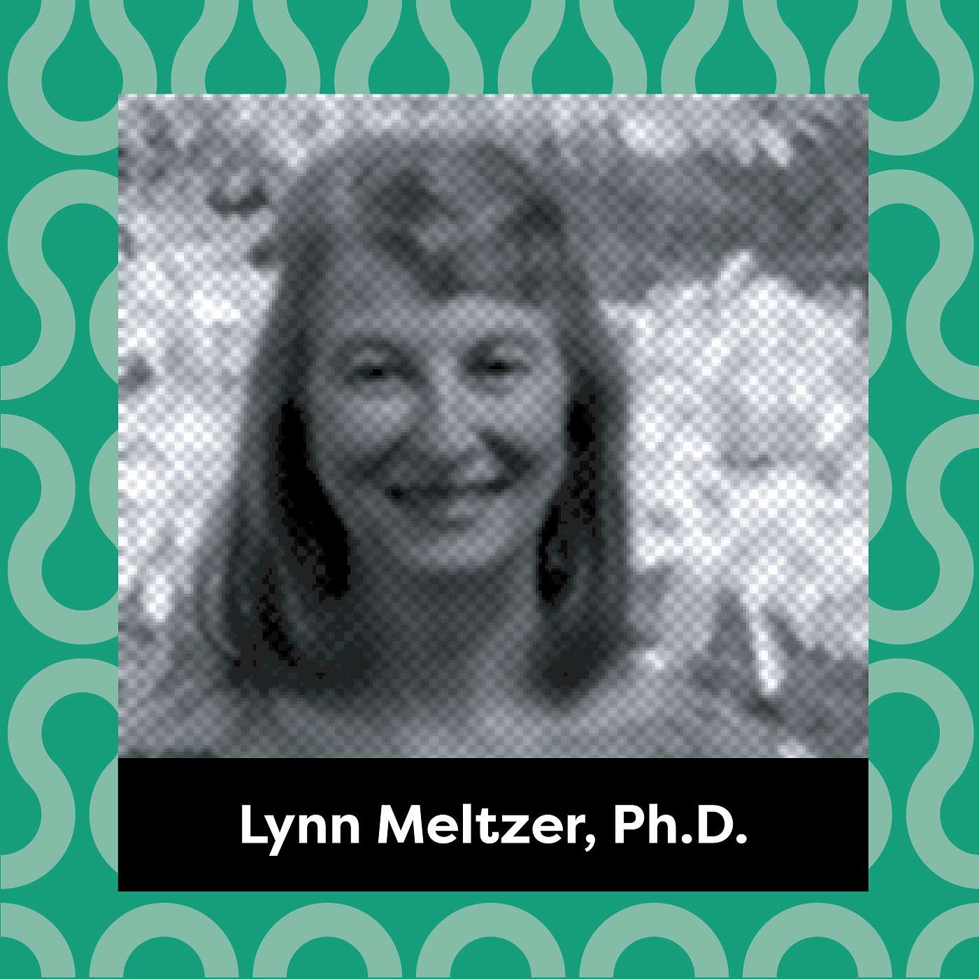 Full PreFrontal: Exposing the Mysteries of Executive Function