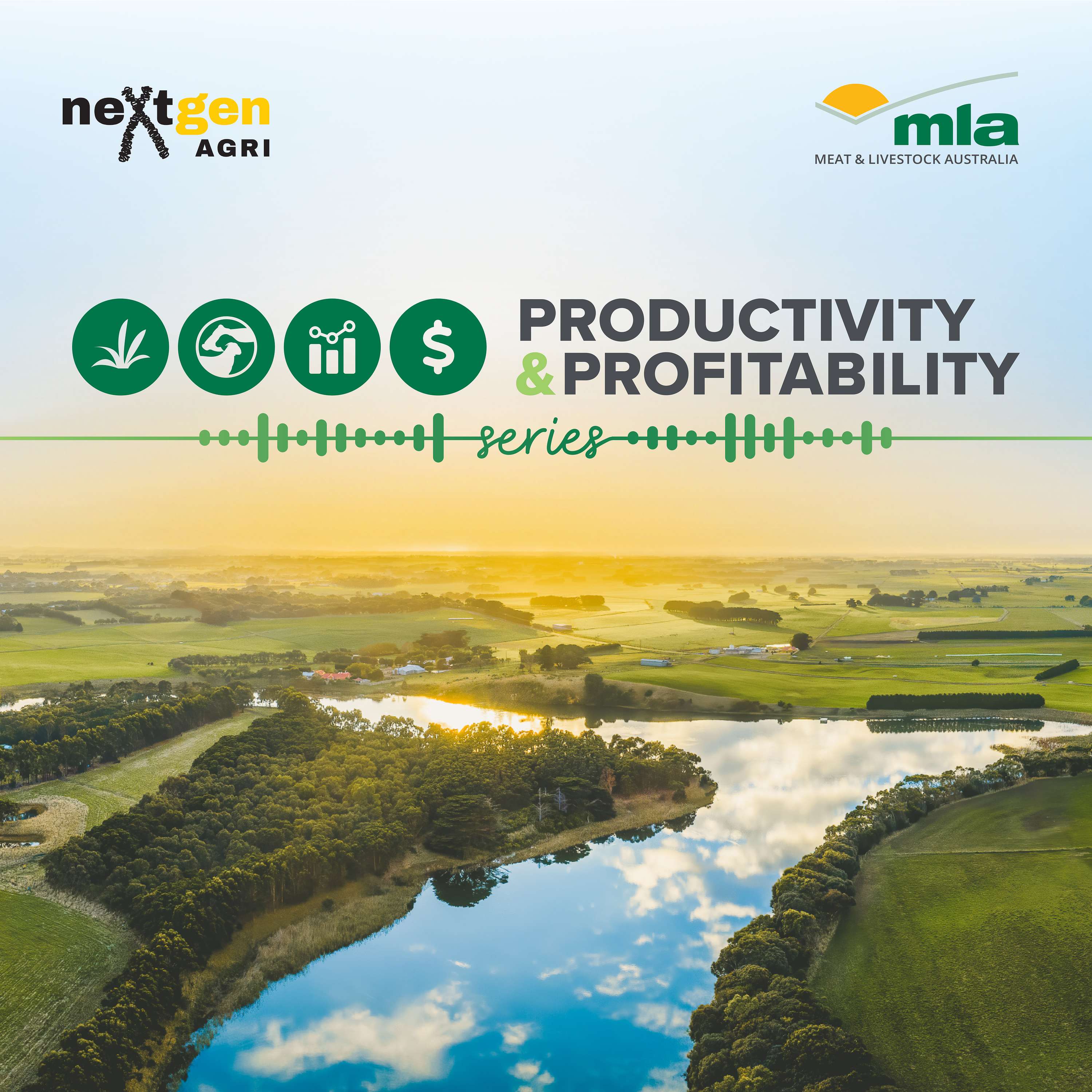 Productivity and Profitability Media Series
