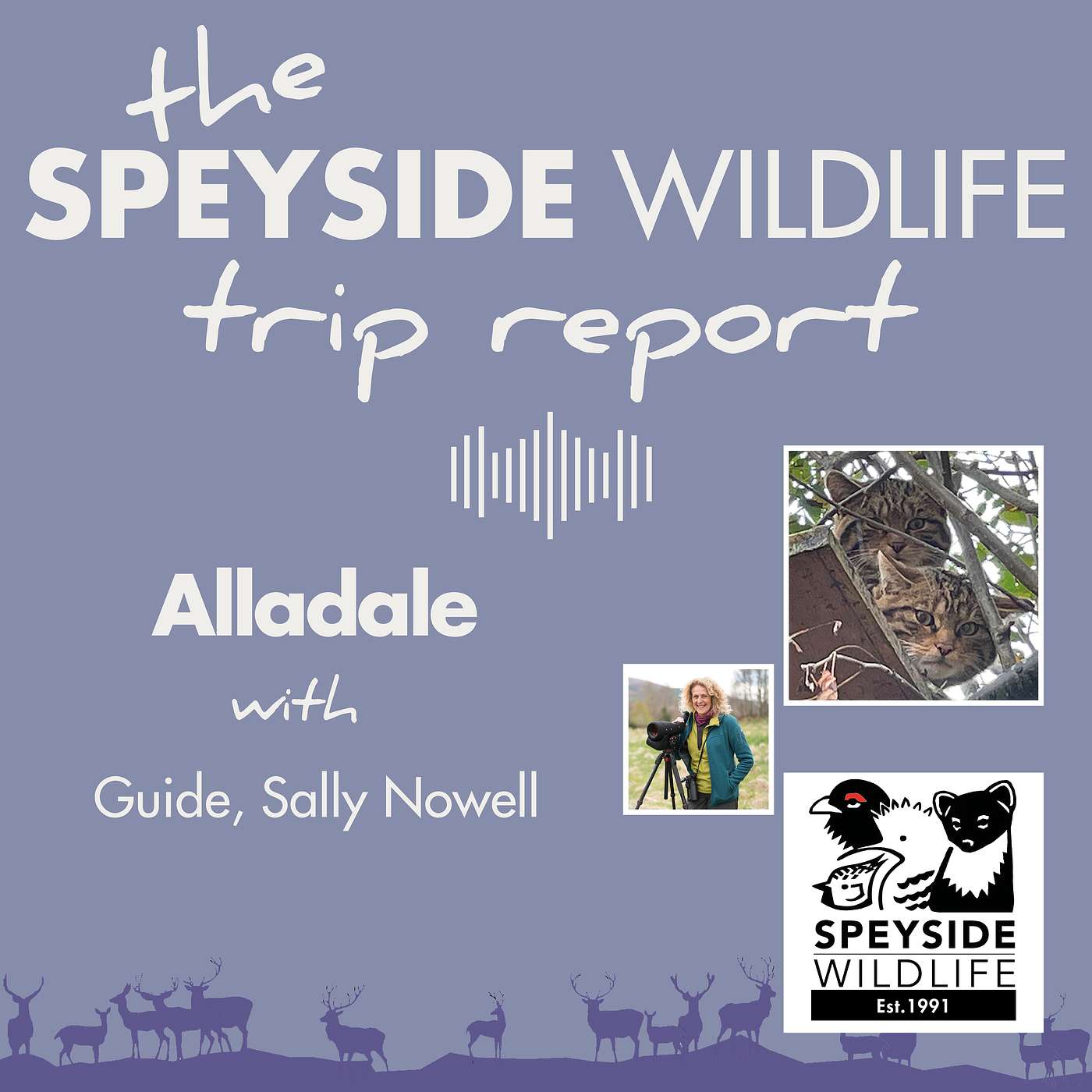 Alladale Wilderness Reserve with Sally Nowell