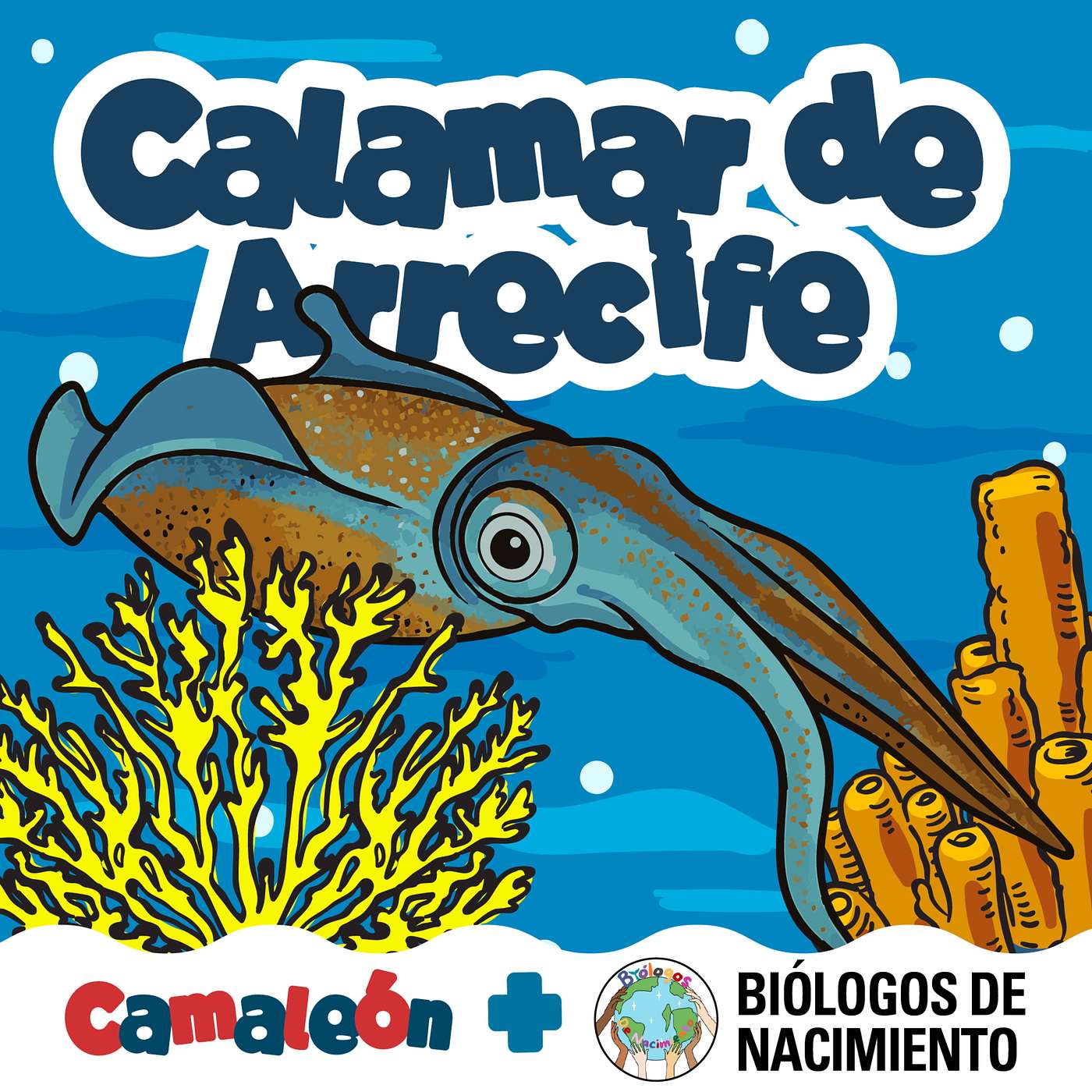 Calamar de Arrecife: El lenguaje de los colores episode artwork