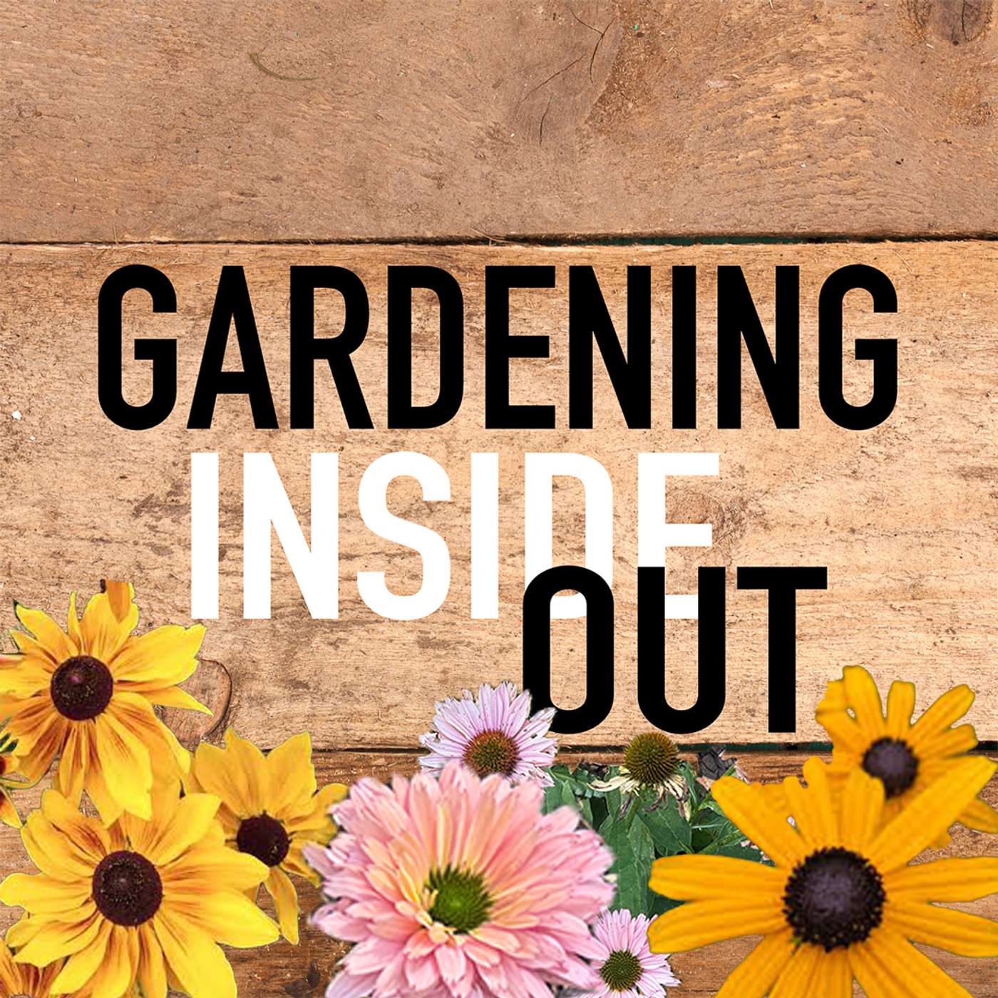 Ep. 152 | Renee Bates, Crepe myrtle, Growing zinnias | June 27 episode artwork