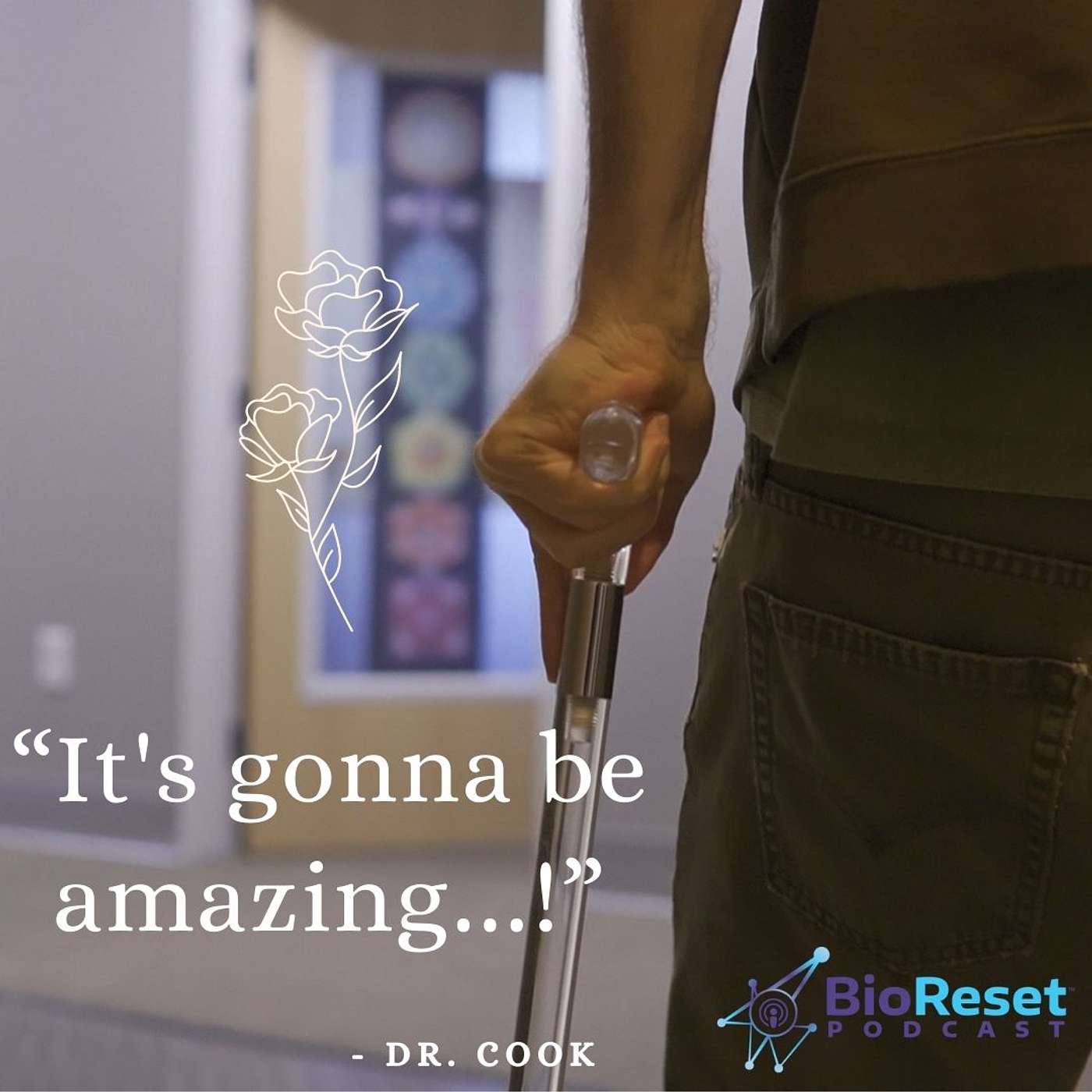 The BioReset™ Podcast