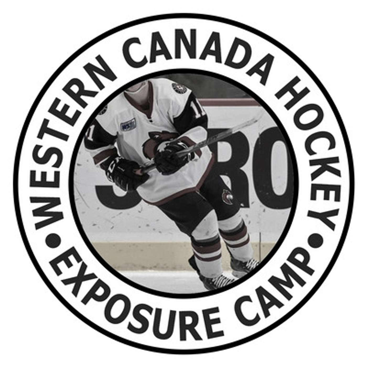 Episode 84: Terry Braun {Learn what you need to do to extend your career past minor hockey}