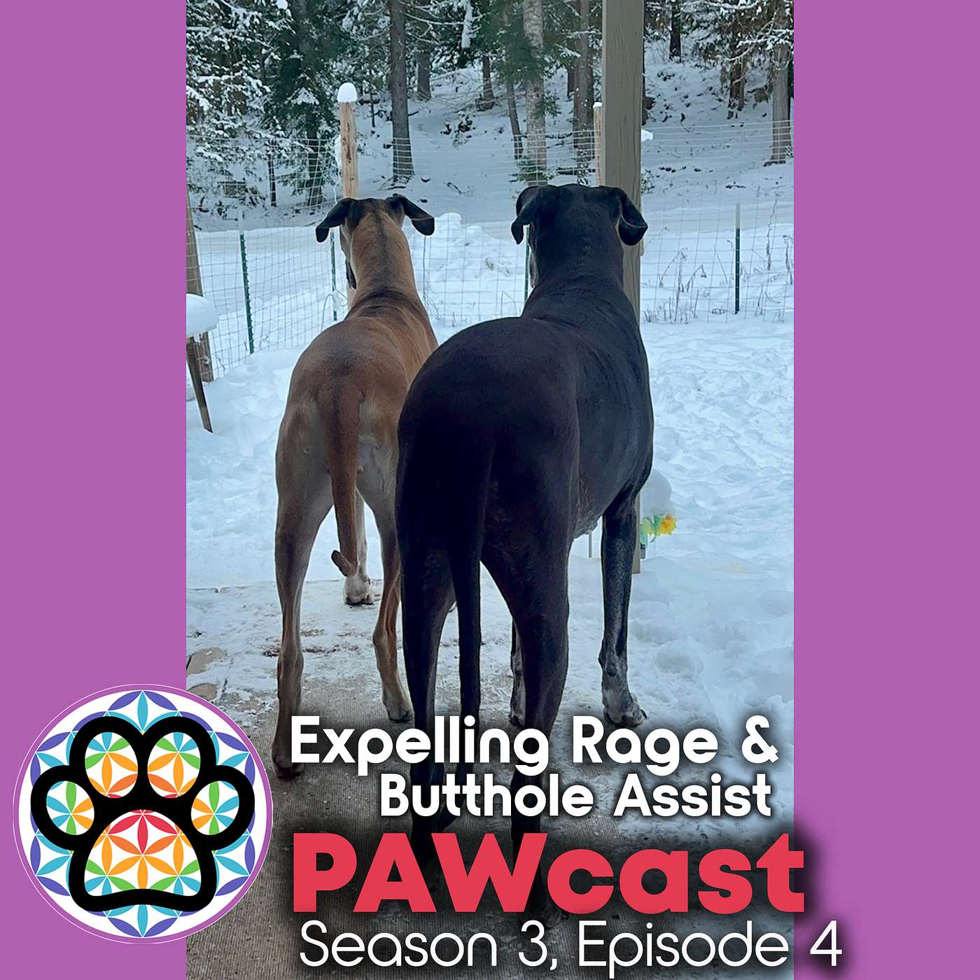 35: Expelling Rage & Bumhole Assist episode artwork