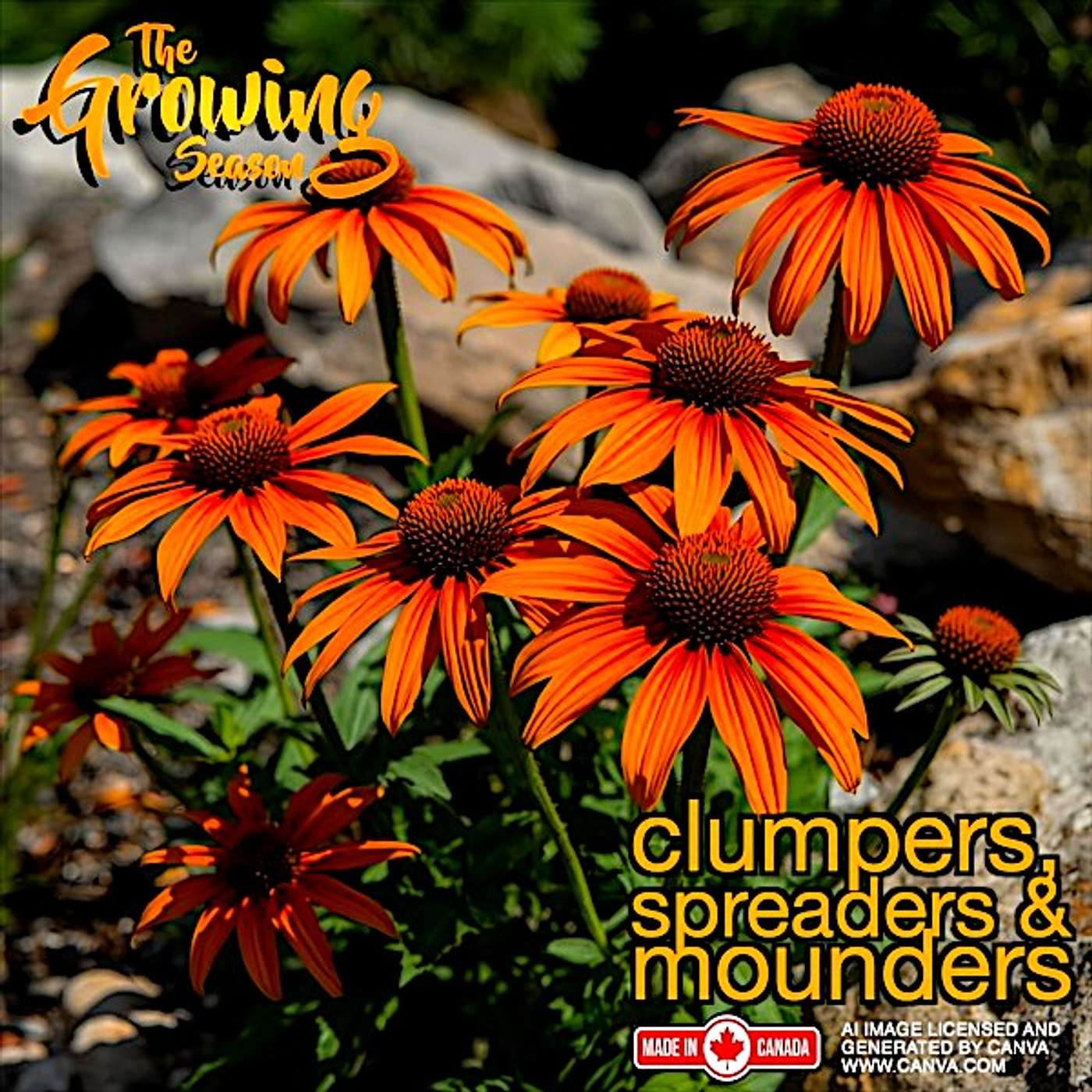 The Growing Season, Sept 20, 2025 - Clumpers, spreaders and mounders