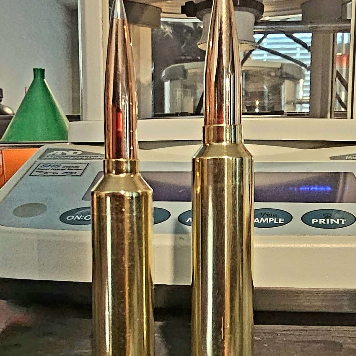 Wildcat Wednesday; 223 PRS Moses, 6 PRS Moses, 7 Moses, ETC