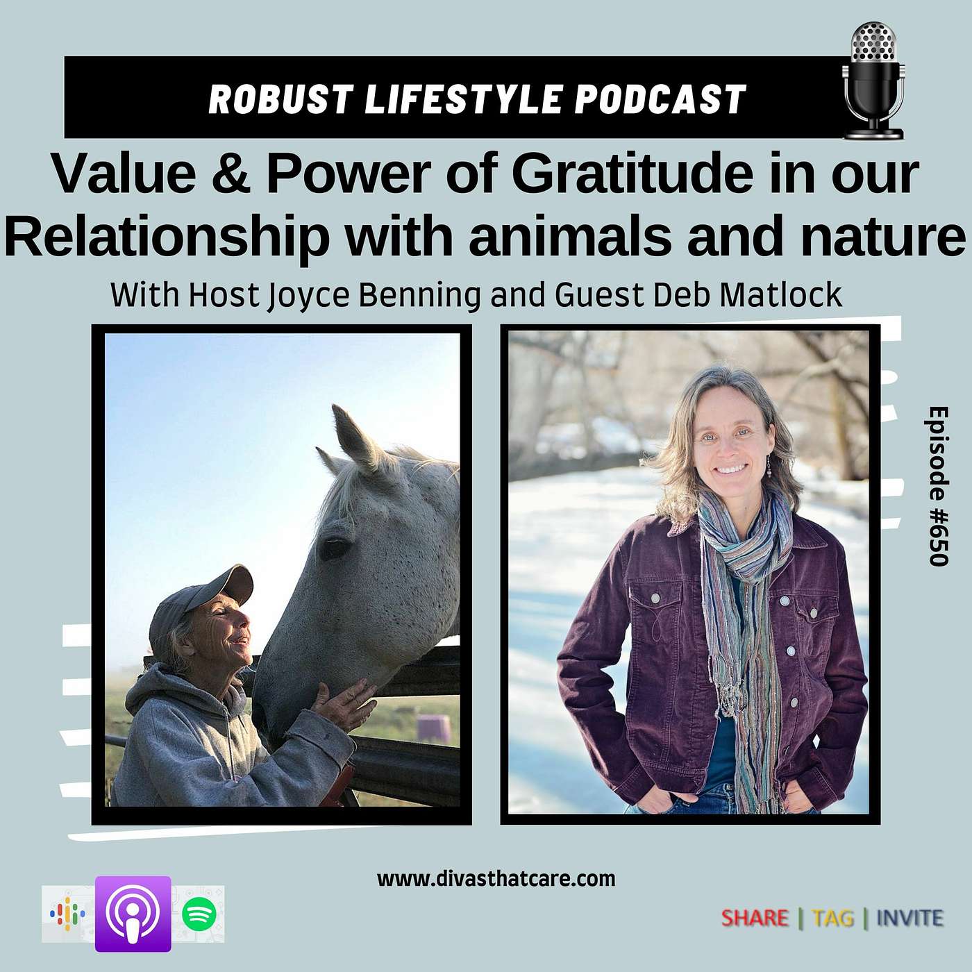 Value & Power of Gratitude in our Relationship with animals and nature episode artwork