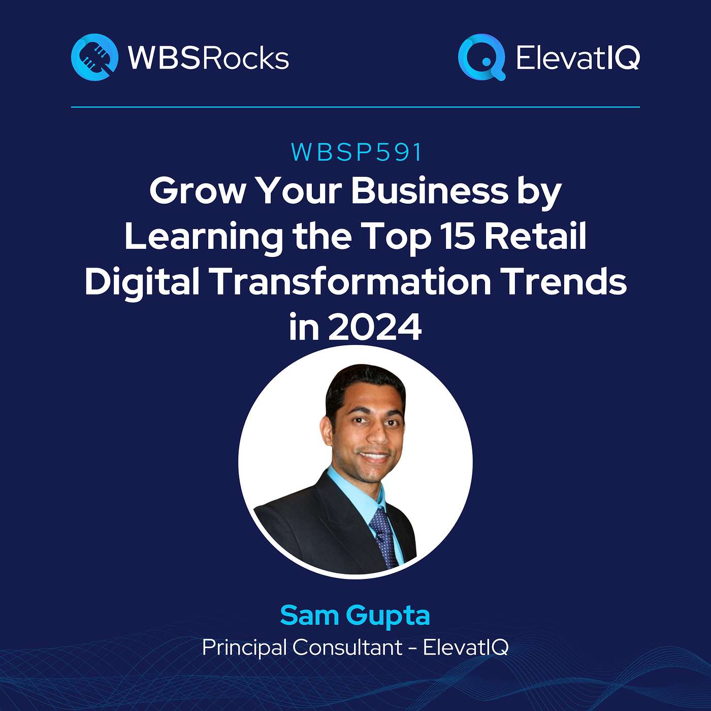 WBSRocks: Business Growth with Enterprise Software and Digital Transformation