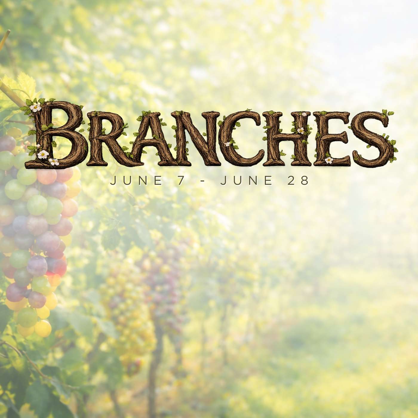 Bearing Real Confidence | Branches | Pastor Joel Schulz episode artwork