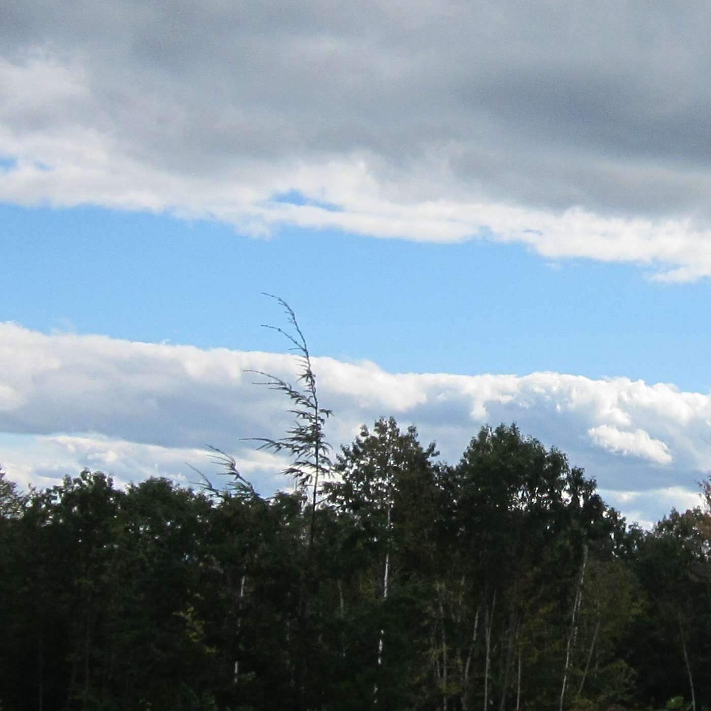 CLOUD SANDWICH