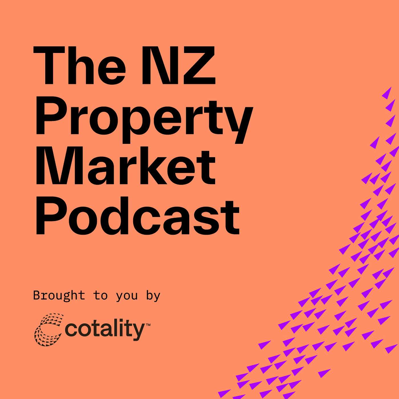 The NZ Property Market Podcast