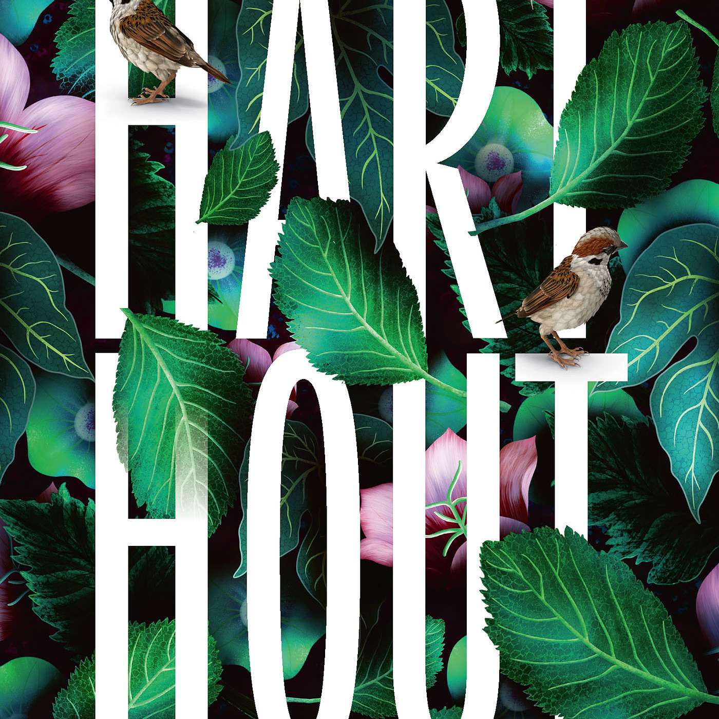 'De Game Wardens van Maine zijn op zoek naar informatie over de vermiste Valerie Gillis, die de Appalachian Trail loopt.'