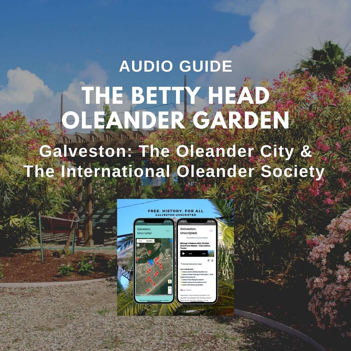 The Oleander City | The Betty Head Oleander Garden & The international Oleander Society