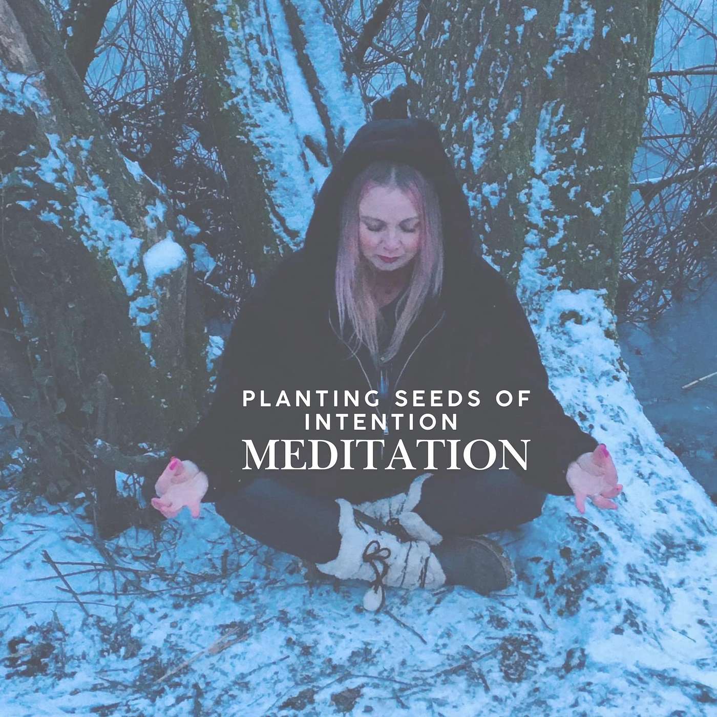 Planting Seeds of Intention - Meditation episode artwork