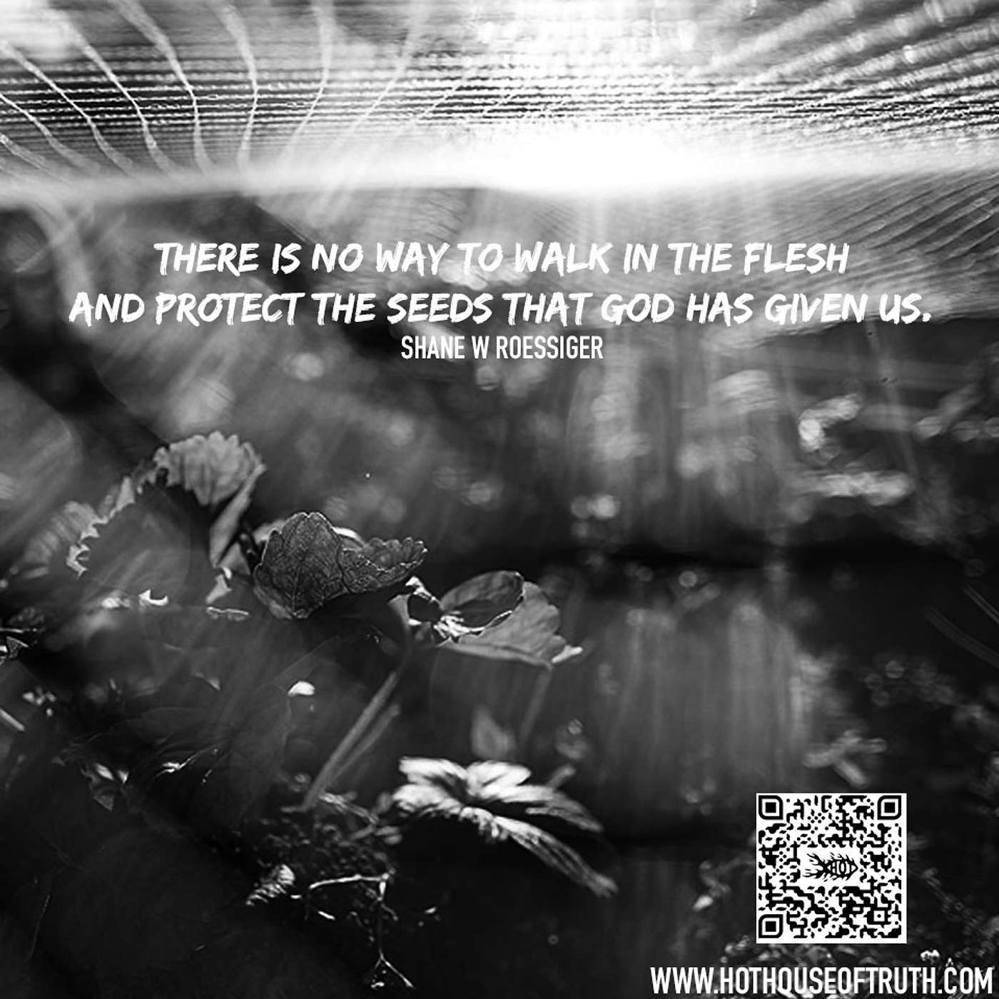 The Thief Comes | O Ladrão Vem - By Shane W Roessiger (English & Portuguese)