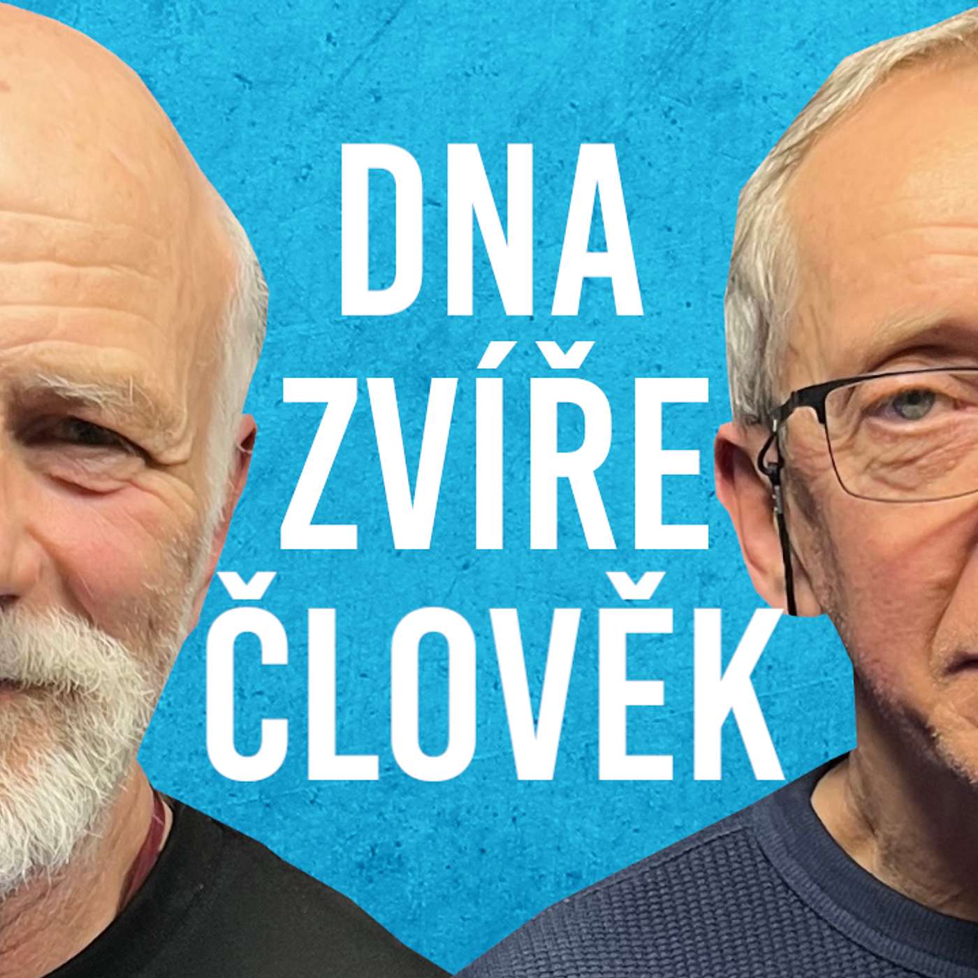 Pavel Mirovský Podcast
