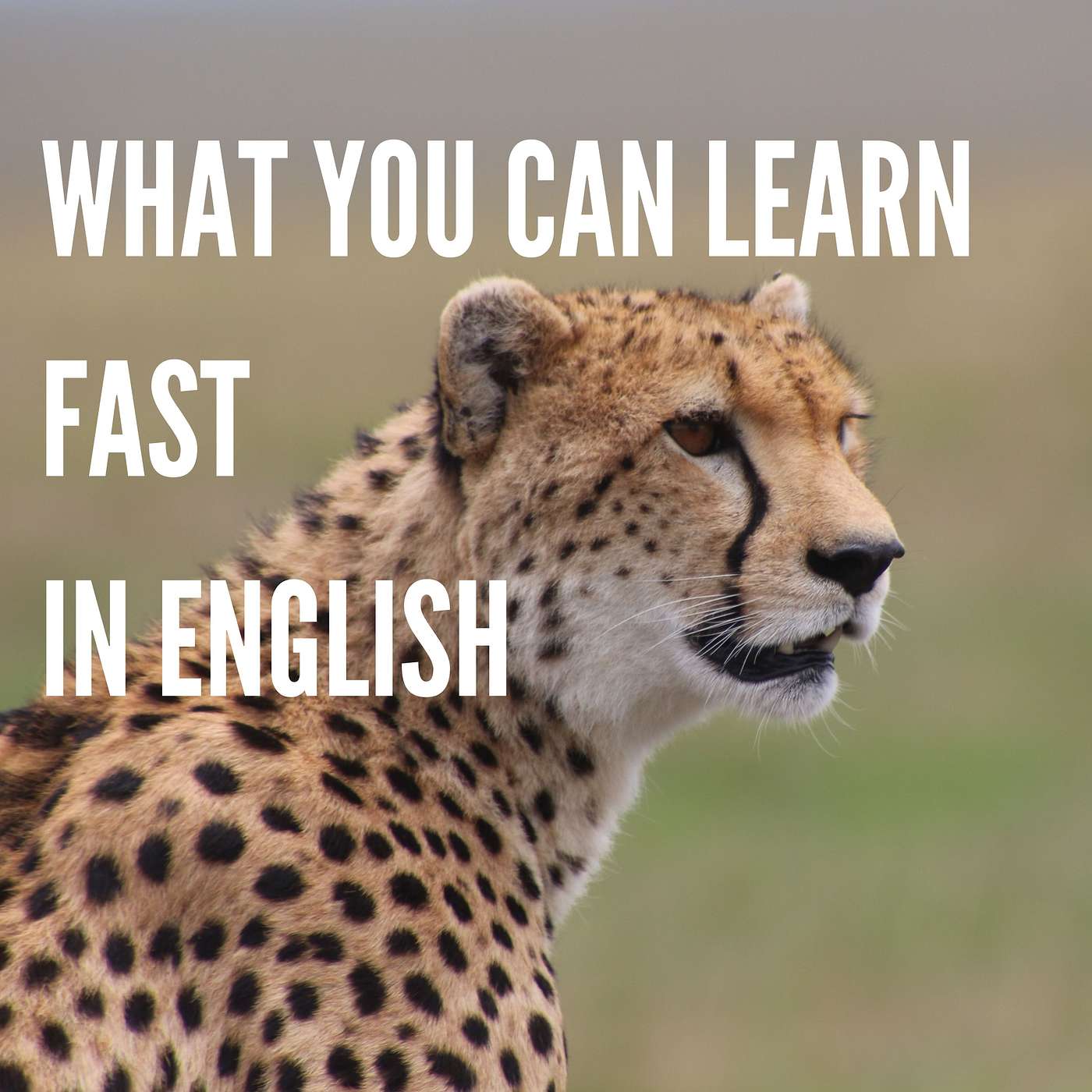 Smart English Coach