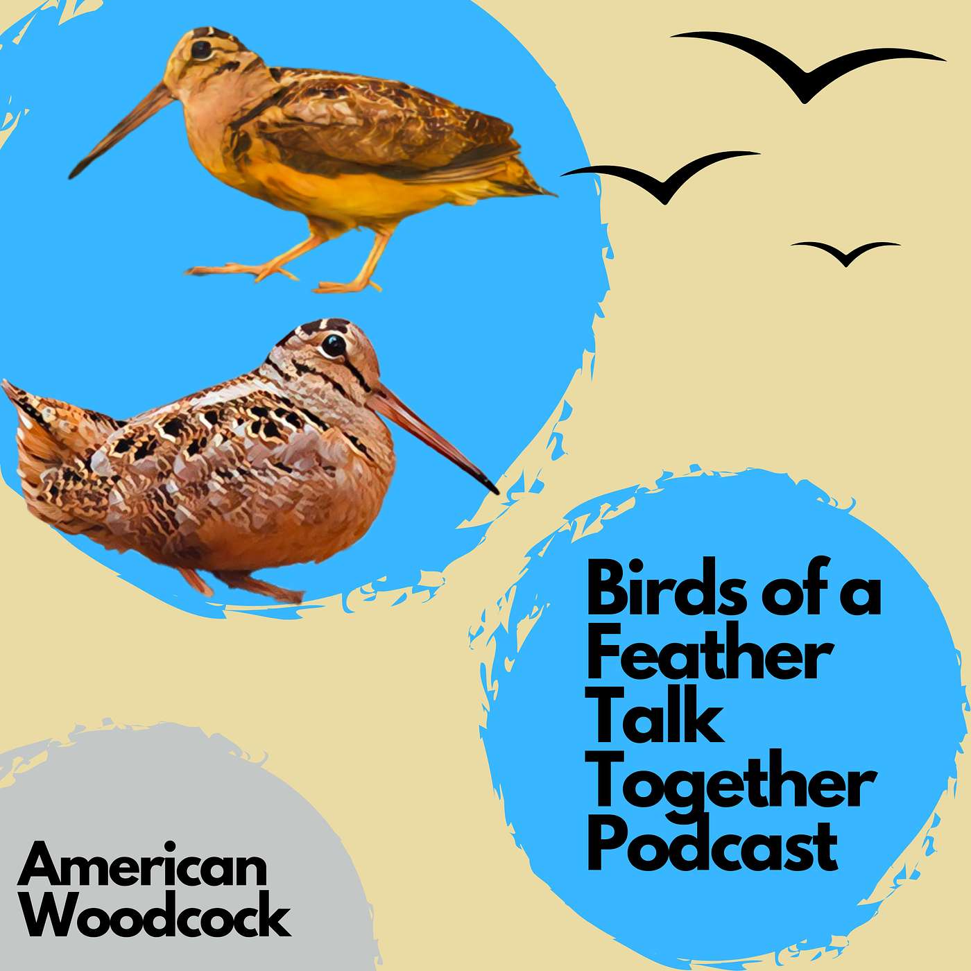Birds of a Feather Talk Together
