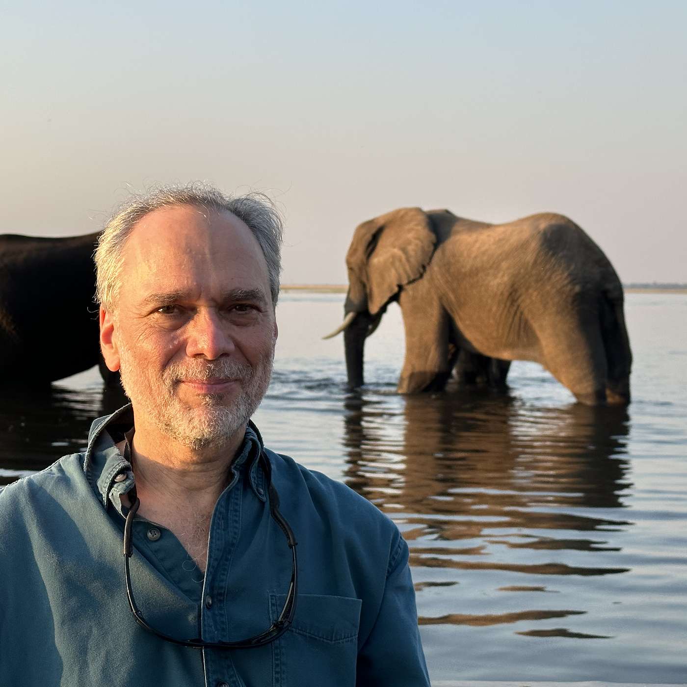 #77 Steve and Some Good Gnus in Southern Africa
