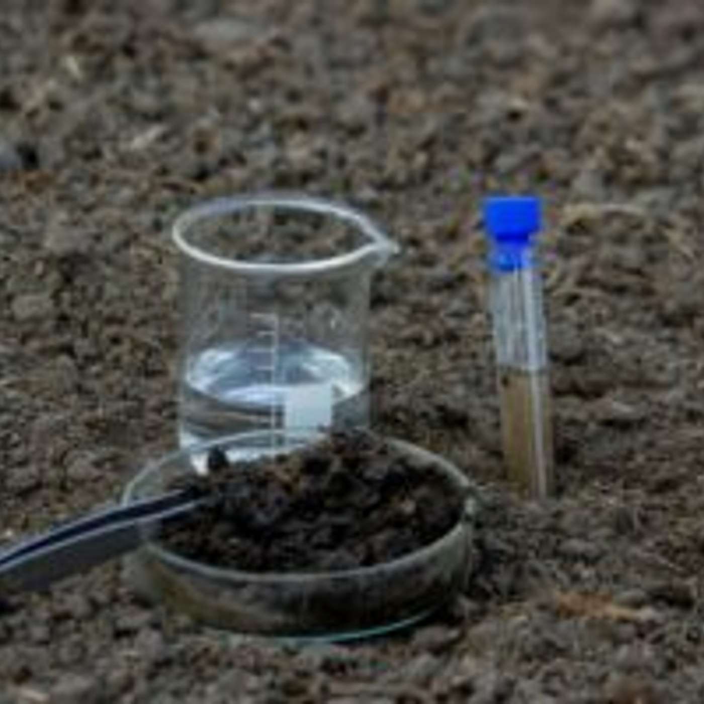 Soil Moisture Study Aims to Enhance Wildfire Preparedness in Arizona episode artwork