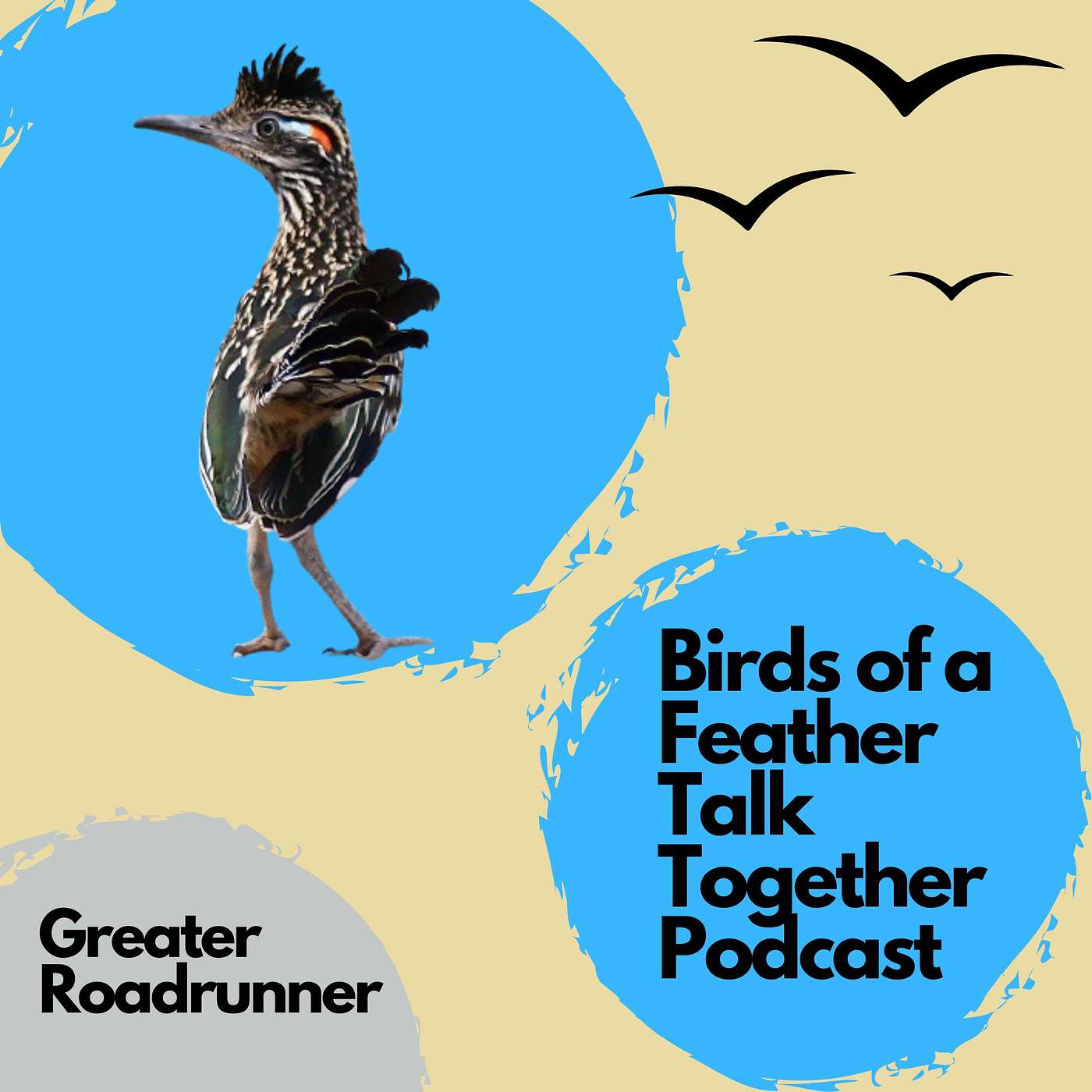 Birds of a Feather Talk Together