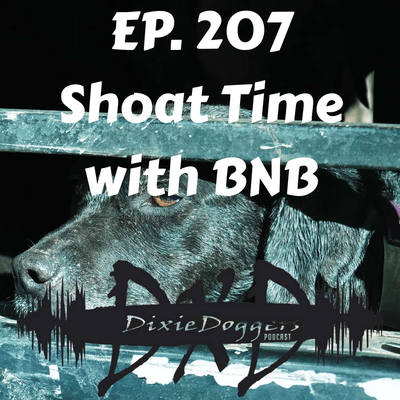 EP. 207 Shoat Time with BNB EP. 207 Shoat Time with BNB
