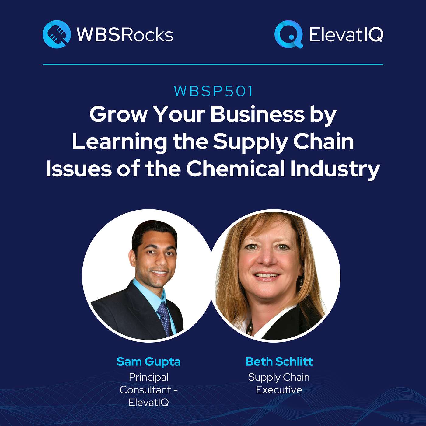 WBSP501: Grow Your Business by Learning the Supply Chain Issues of the Chemical Industry w/ Beth Schlitt