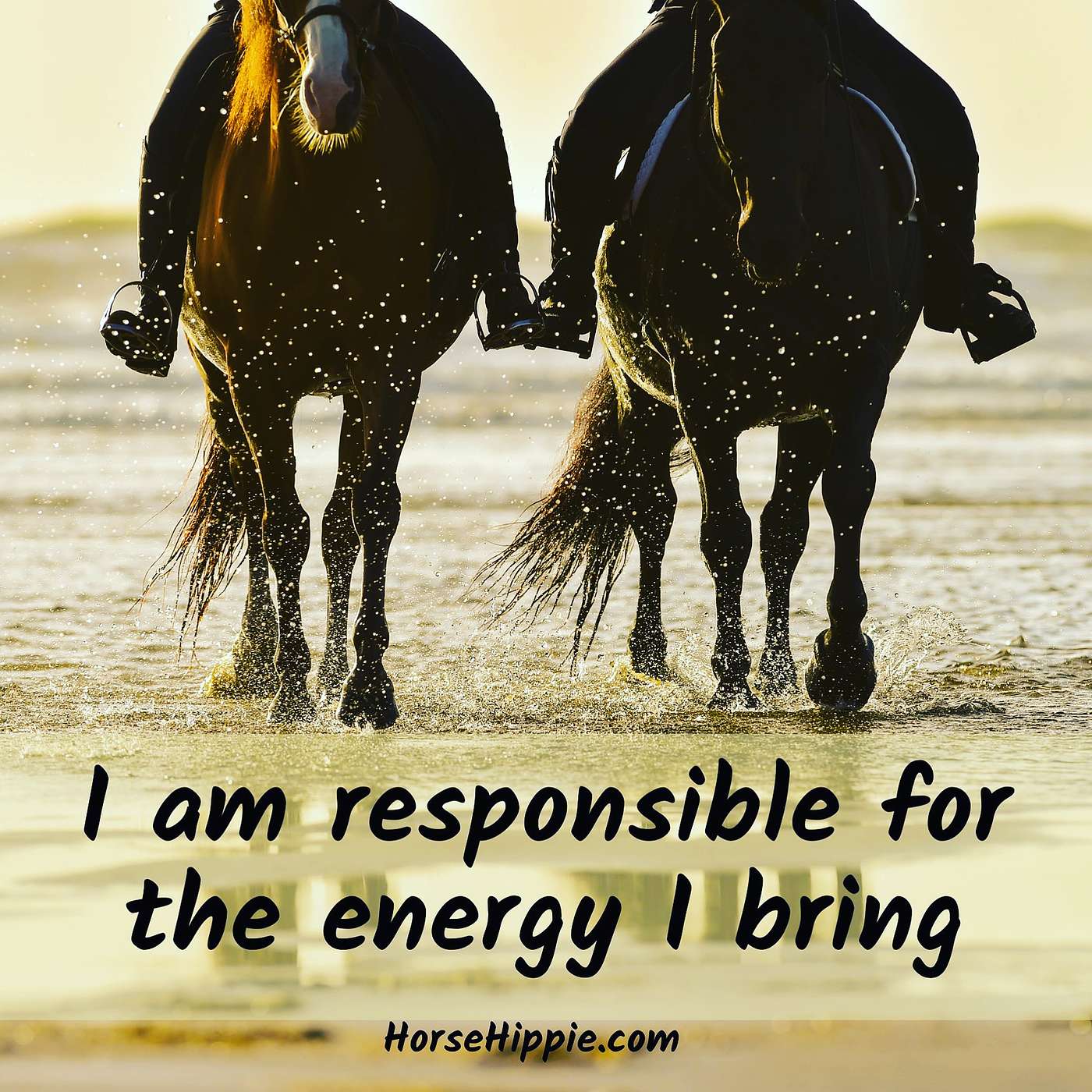 The Energy You Bring episode artwork