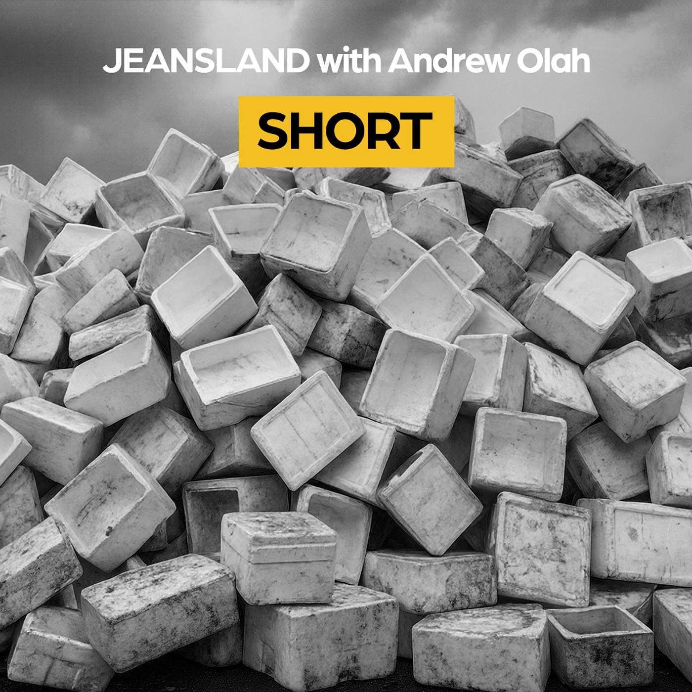 Ep. 31 (Short): Styrofoam, the Cockroach of Packing Ep. 31 (Short): Styrofoam, the Cockroach of Packing