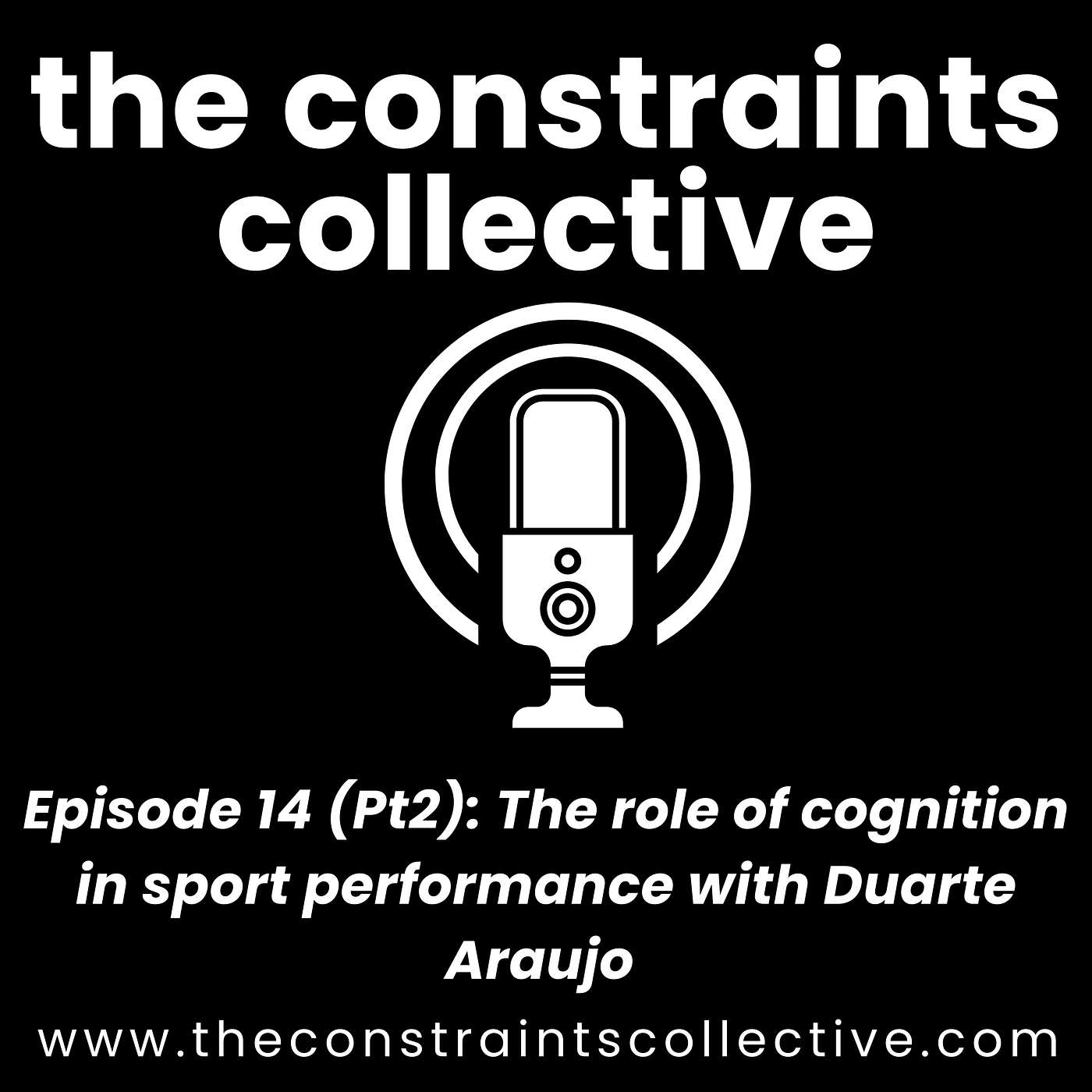 Episode 14 (Pt2): The role of cognition in sport performance with Duarte Araujo episode artwork
