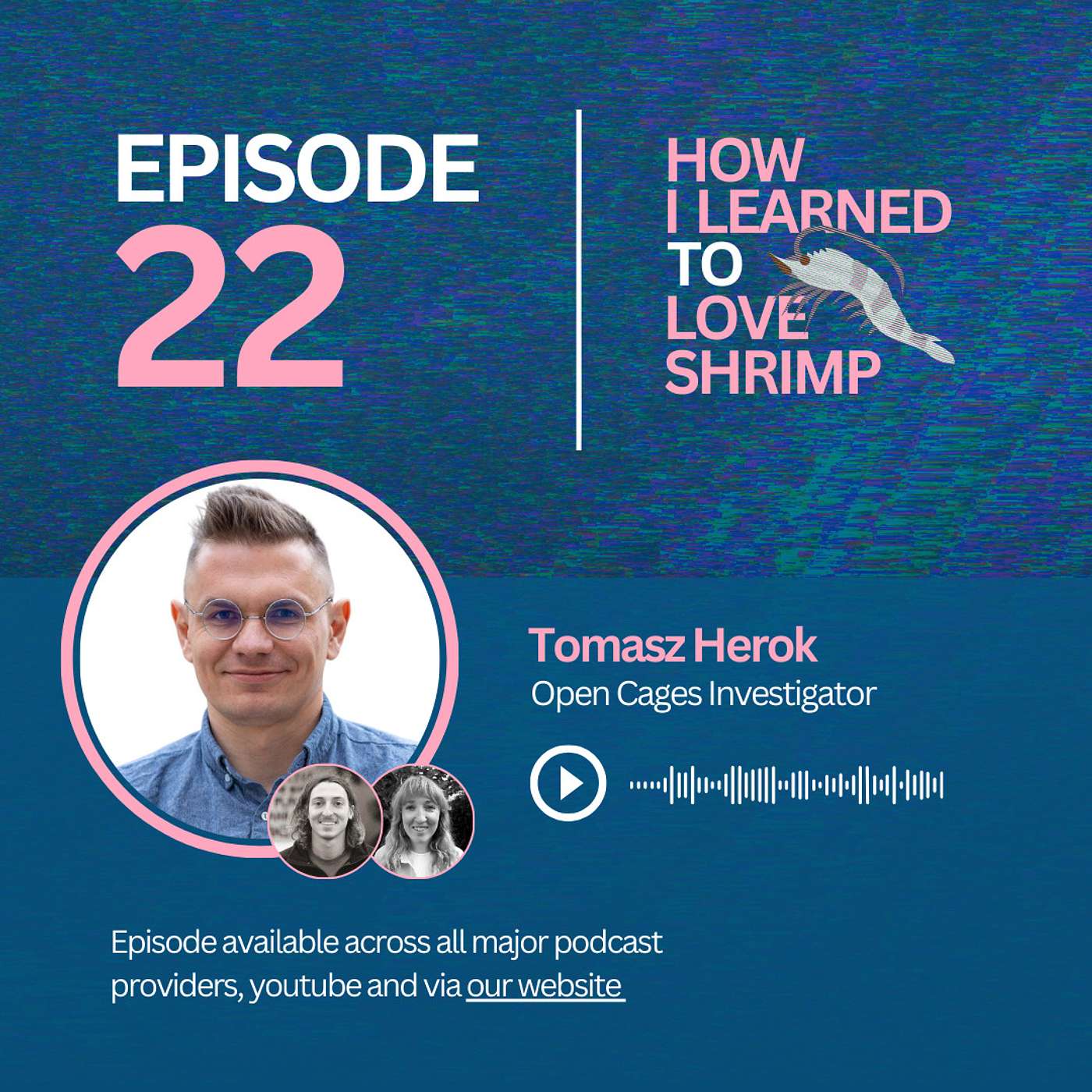 Tomasz Herok on working undercover in factory farms