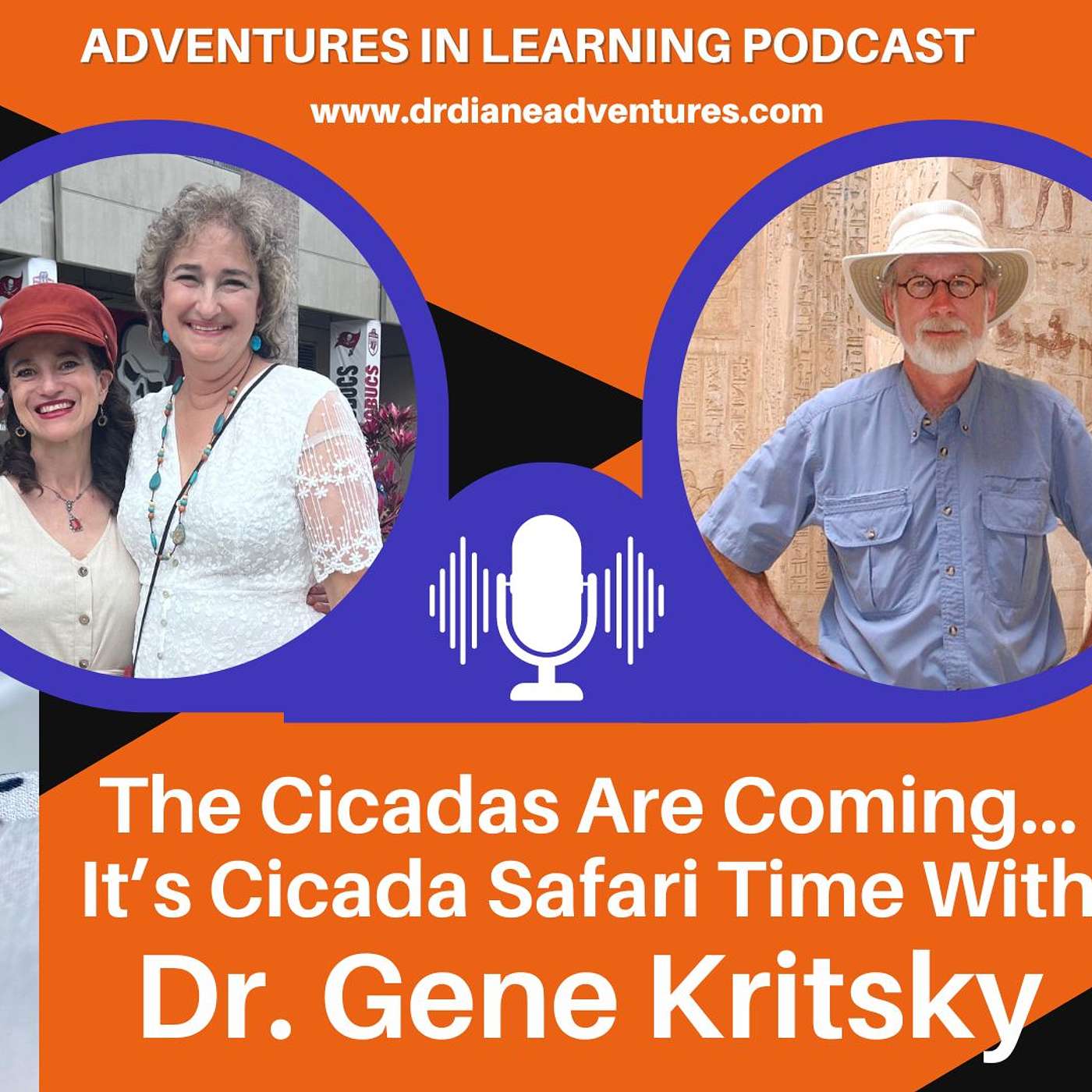 The Cicadas Are Coming! Meet the Indiana Jones of the Cicada World, Dr. Gene Kritsky