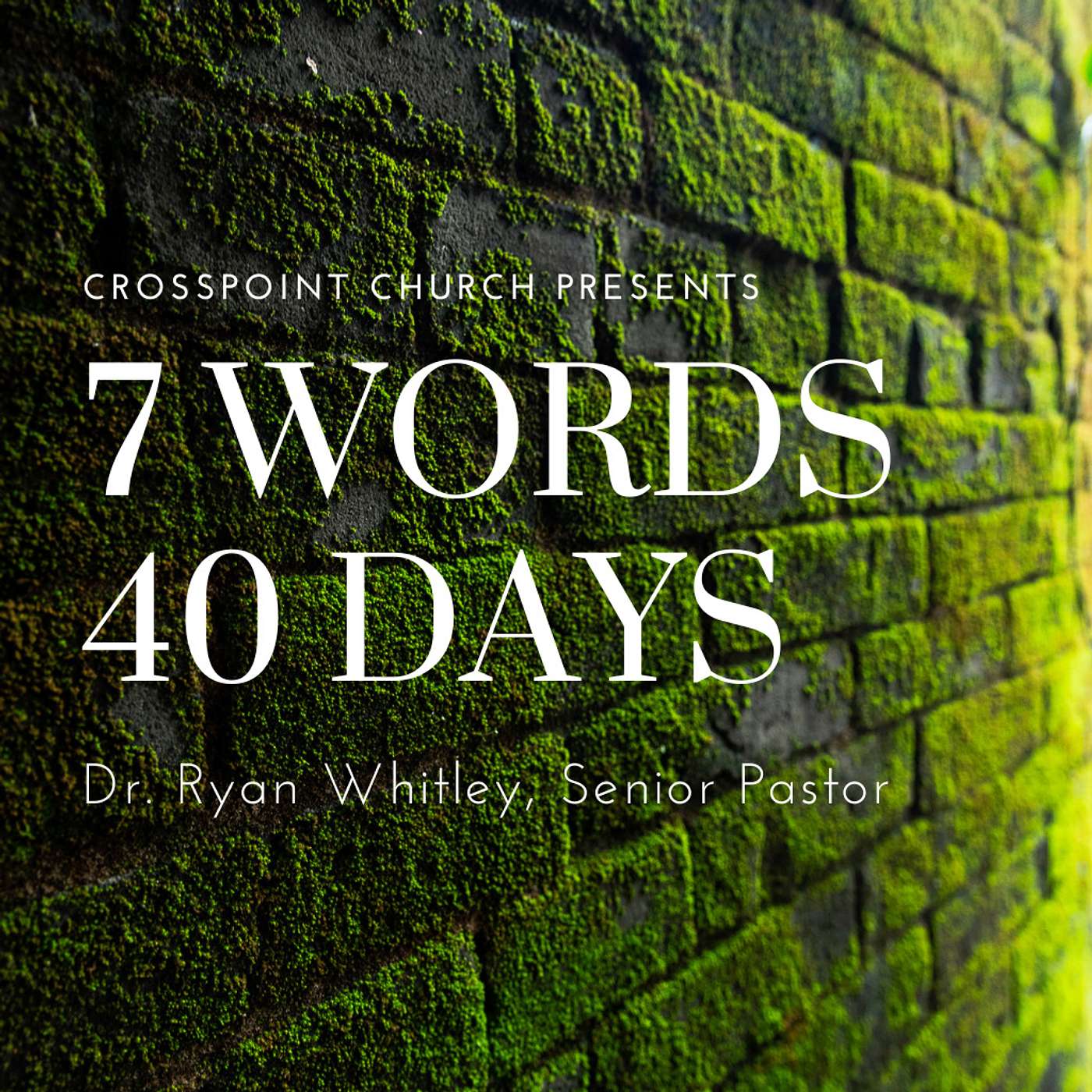 7 Words / 40 Days