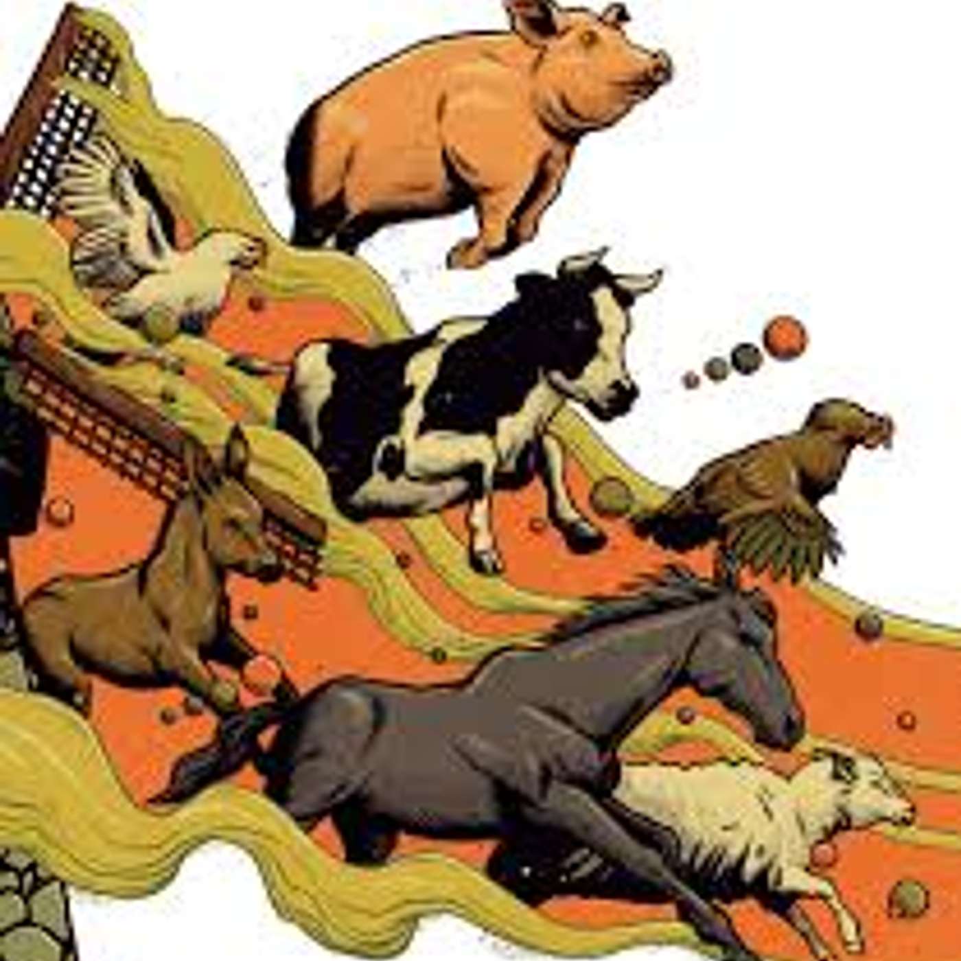 ANIMAL FARM PODCAST
