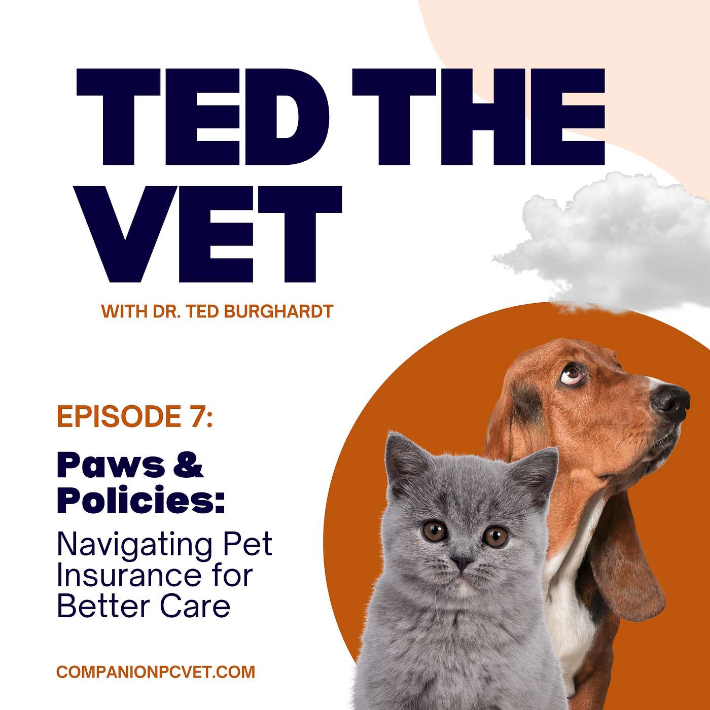 Ted The Vet : Expert Advice and Insightful Tips to Care for your Pets