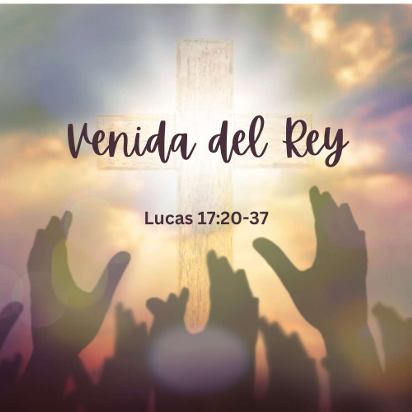 Venida del Rey
