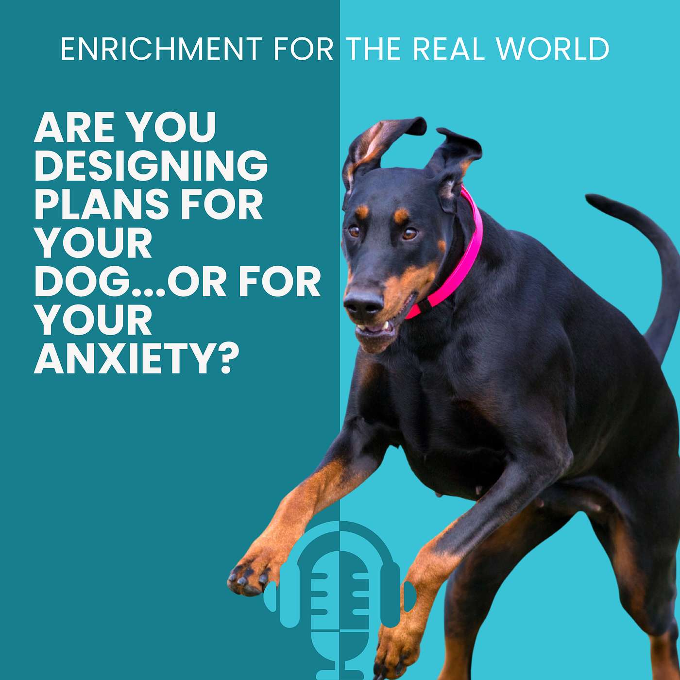 #167 - Are You Designing Plans for Your Dog... or for Your Anxiety?