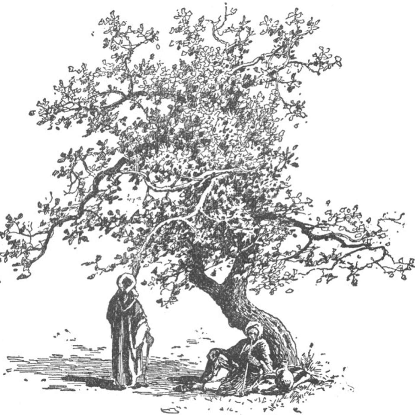 Honesty in the Kingdom of God... (A Treadweary Sermoncast)