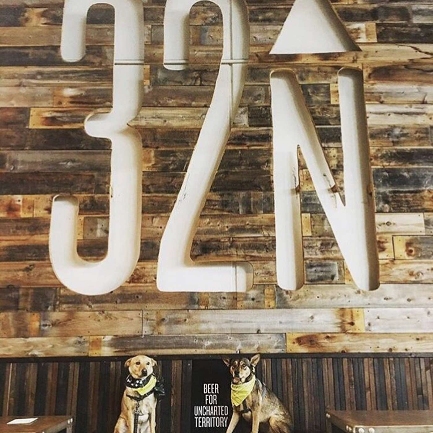 32North Brewing - Steve Peterson