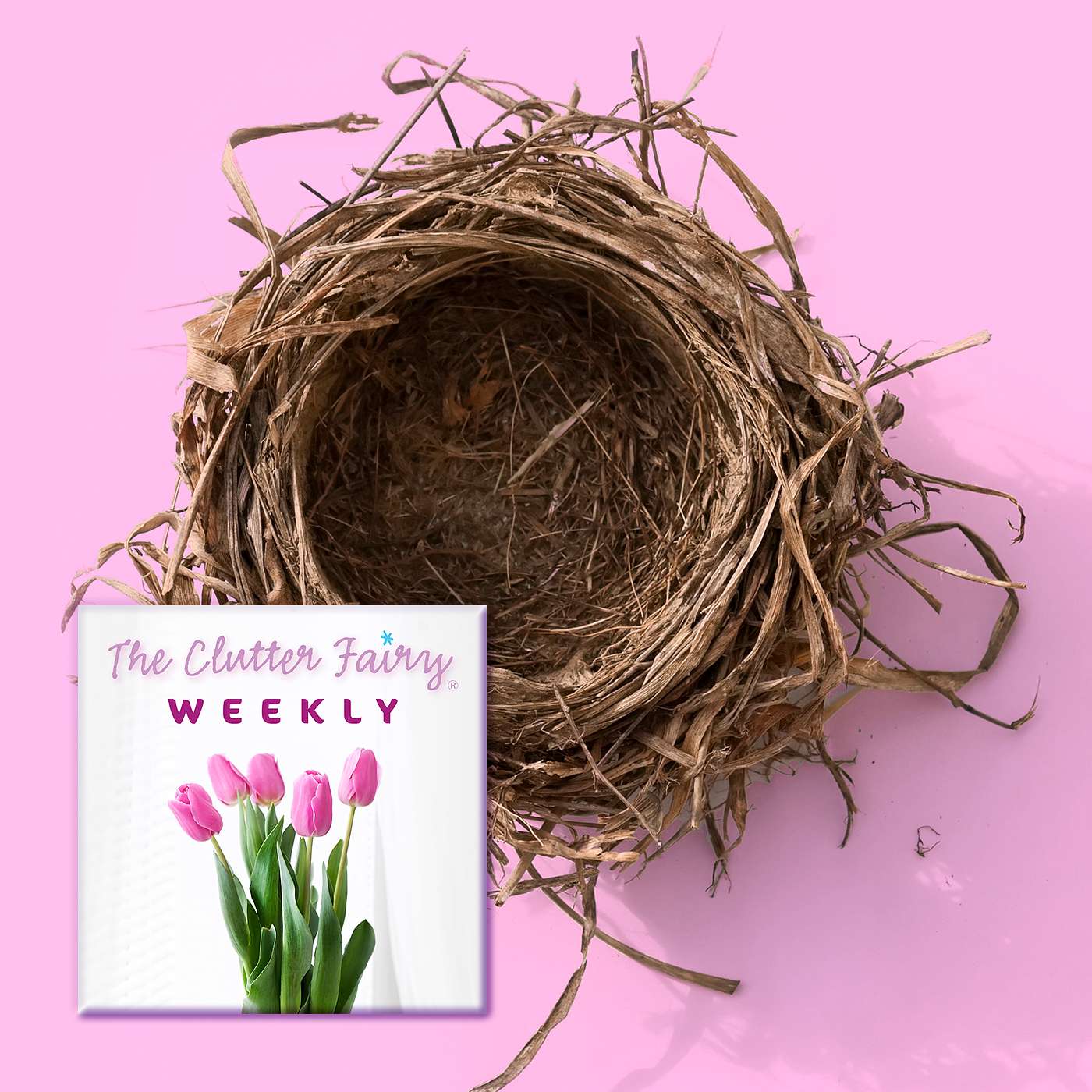 The Clutter Fairy Weekly