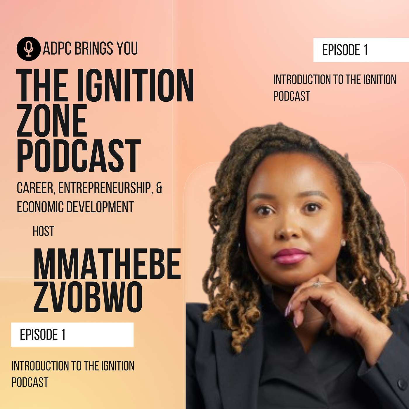 The Ignition Zone Podcast