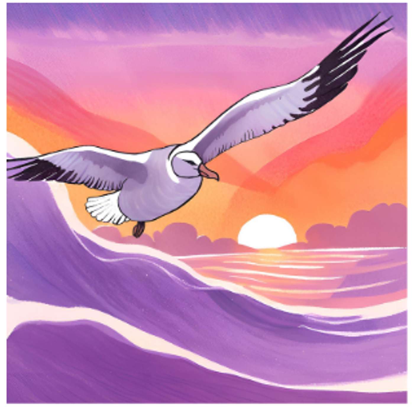 Old Captain and The Albatross King