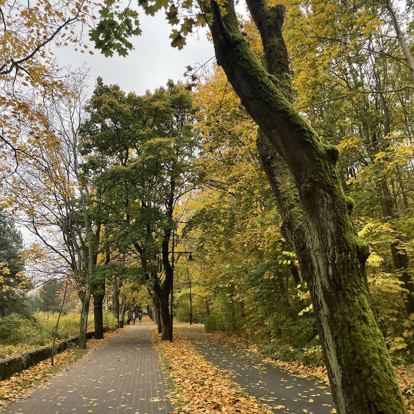 How to “Better yourself up”- goal setting How to “Better yourself up”- goal setting