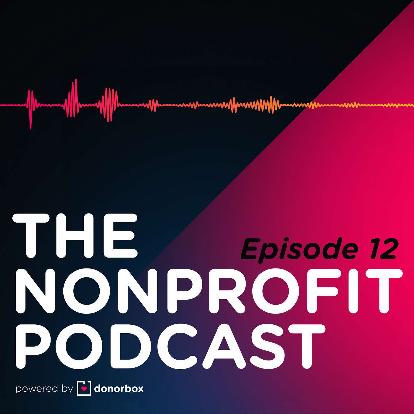 The Nonprofit Podcast