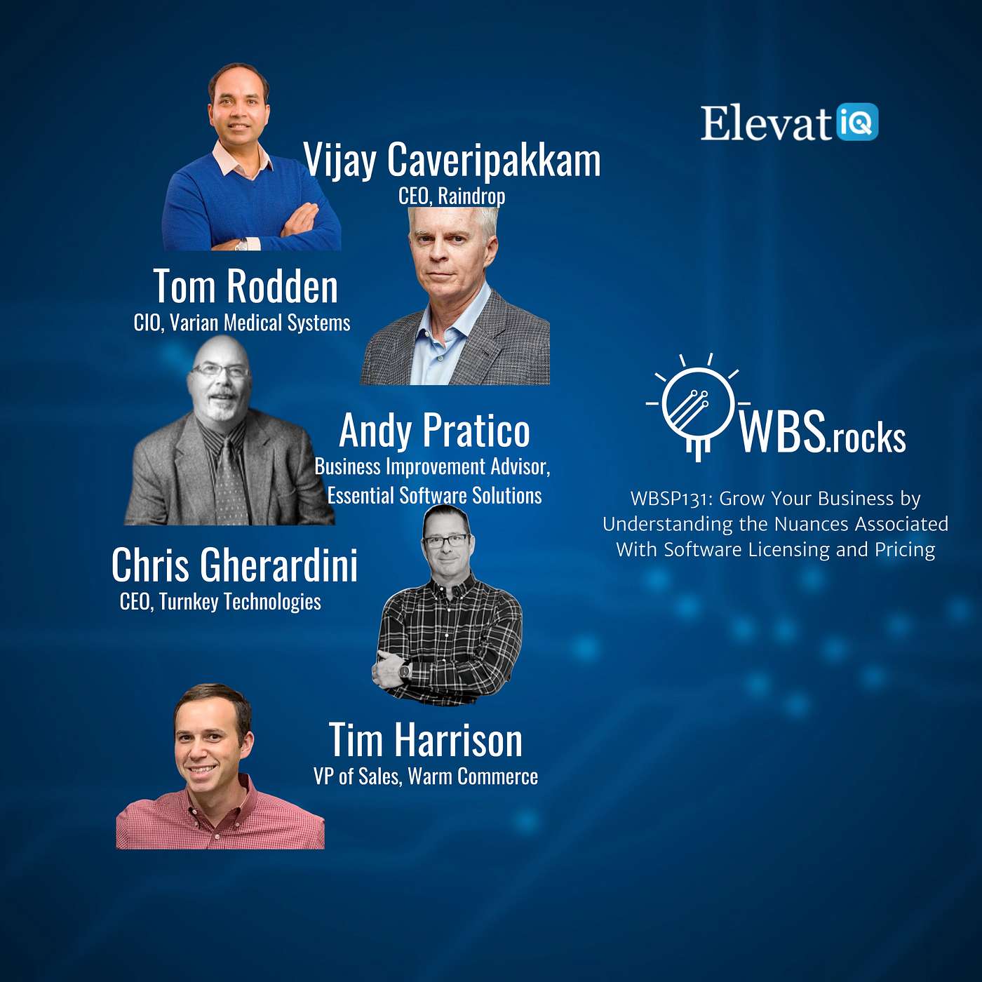WBSP131: Grow Your Business by Understanding the Nuances Associated With Software Licensing and Pricing, a Live Interview w/ a Panel of Experts