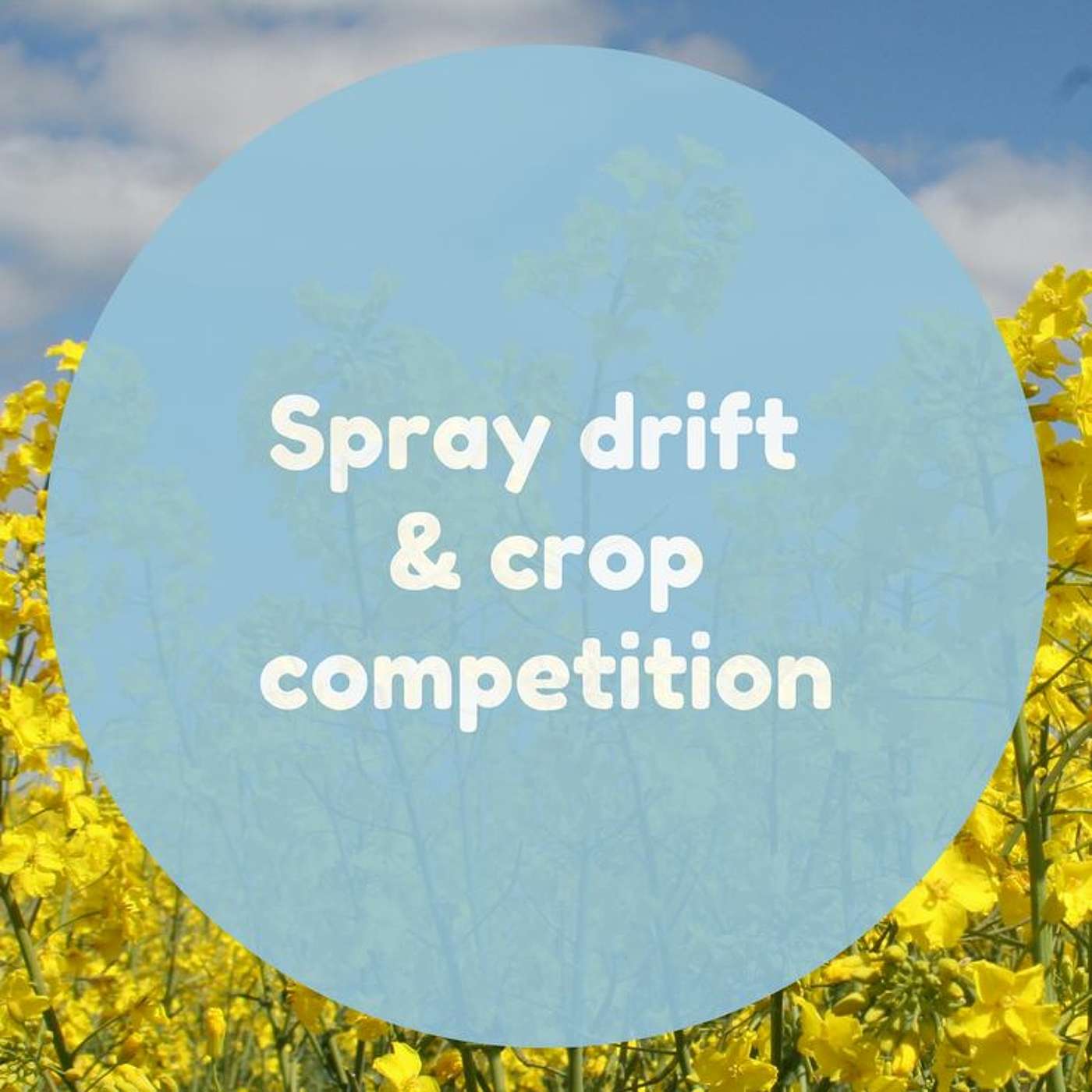 Spray Drift And Crop Competition
